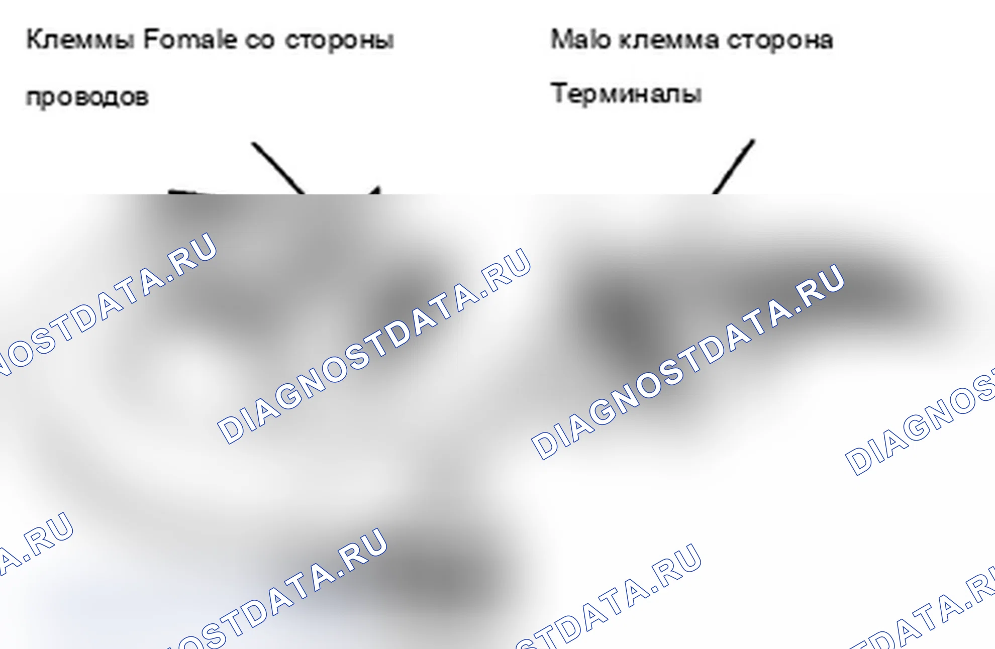 Рис. 1008: Идентификация охватывающих и охватываемых клемм. Acura TL IV