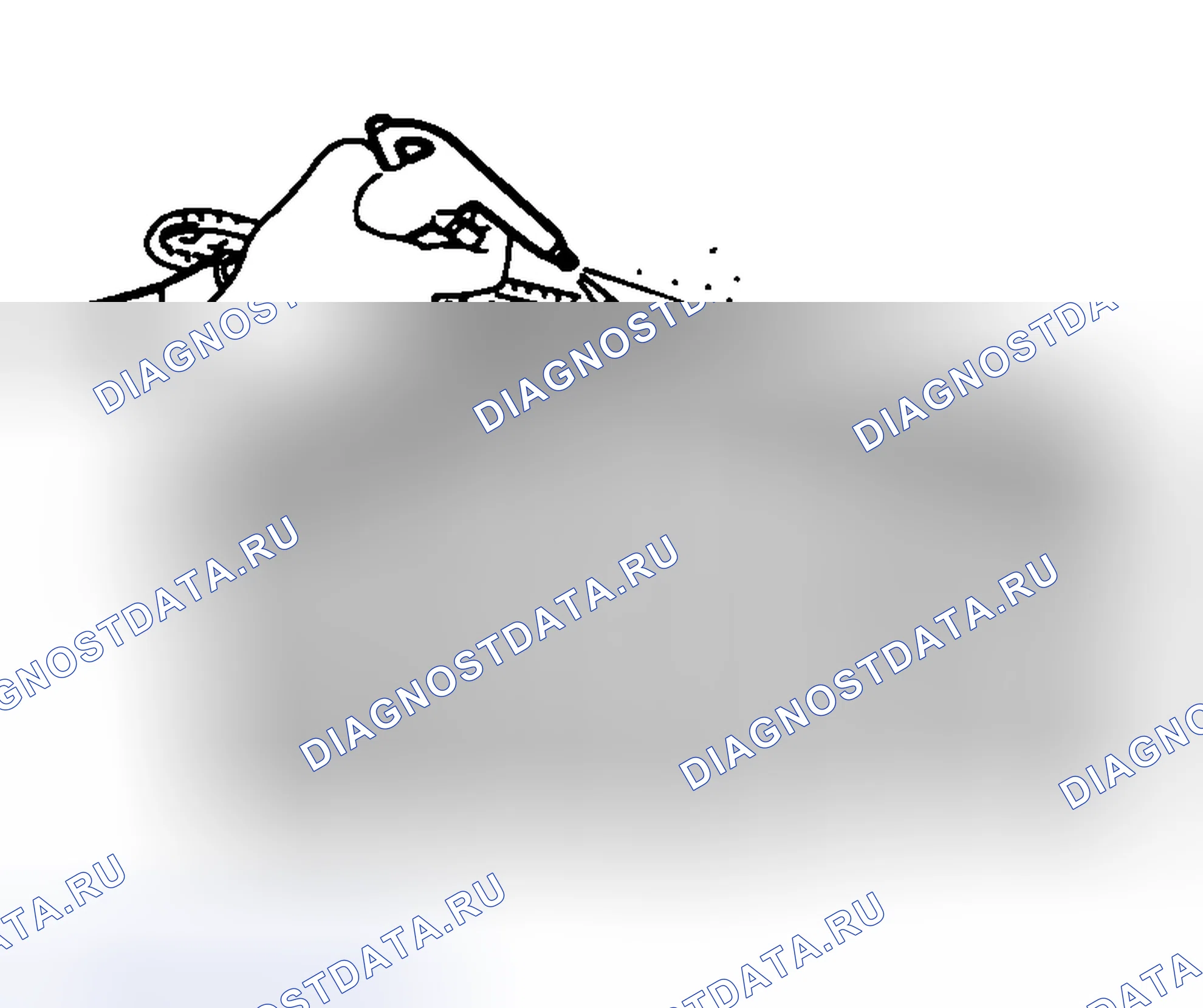 Рис. 15. Honda That S I