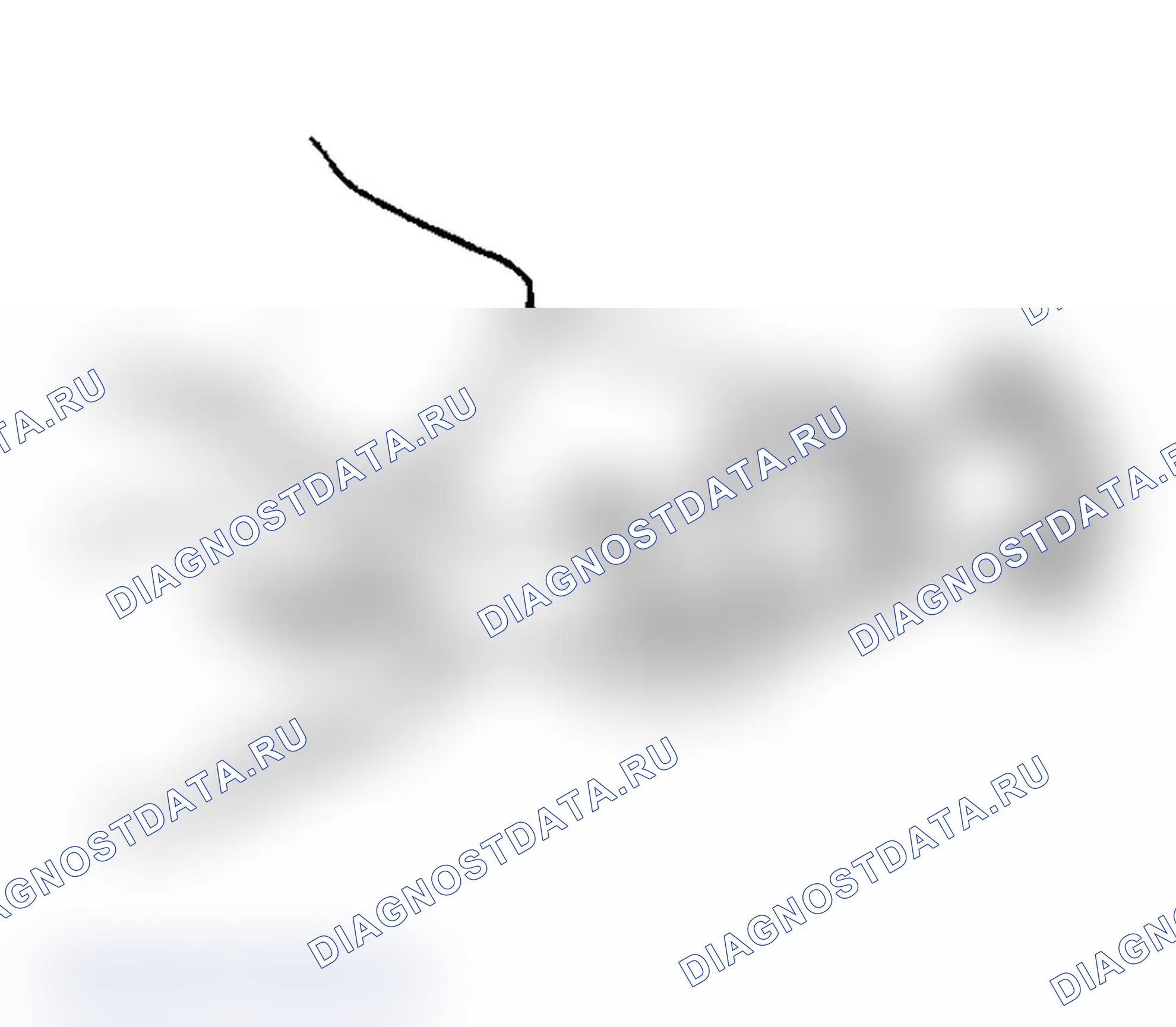 Рис. 8. Subaru Legacy BC/BJ/BF