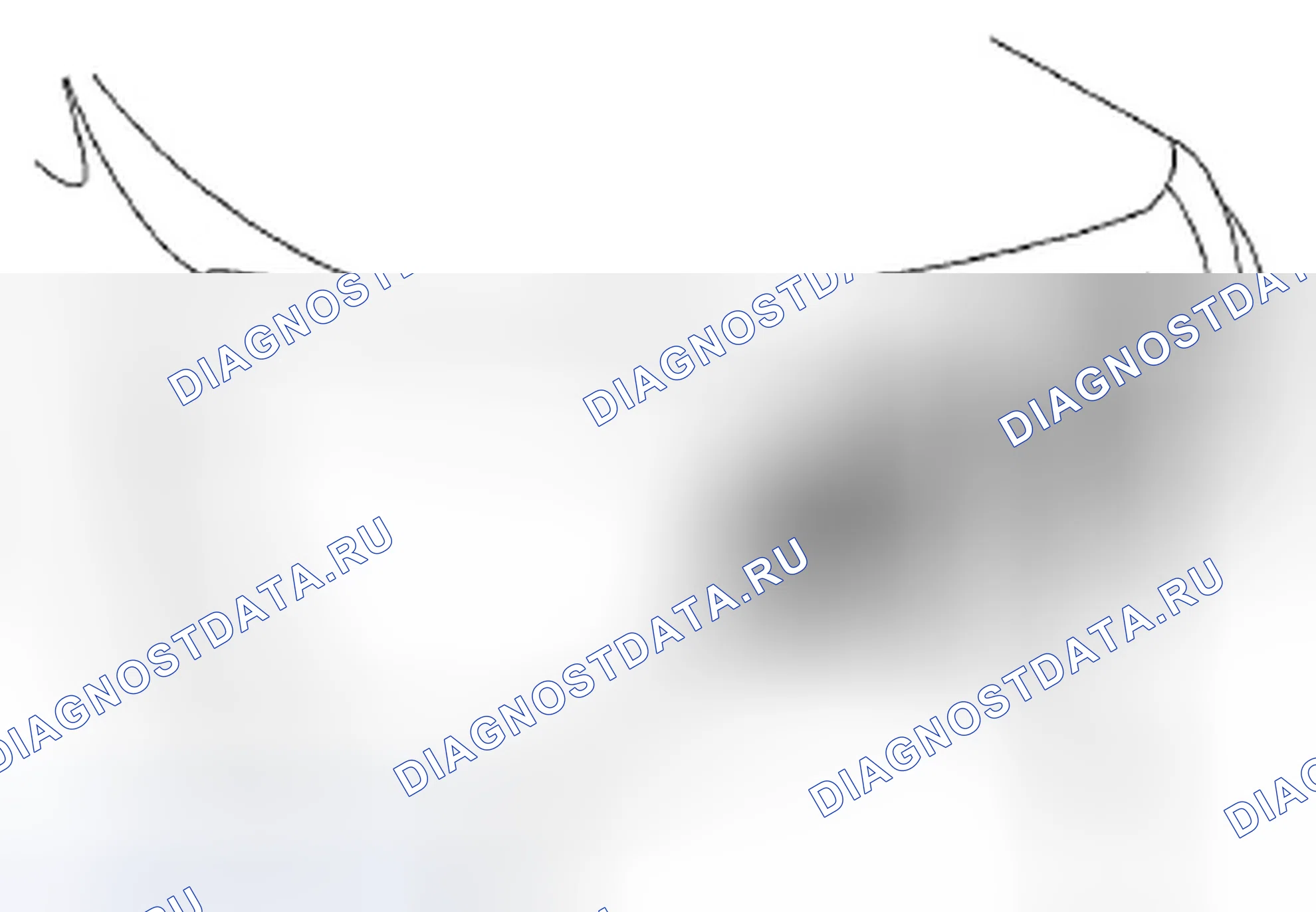 Рис. 8. Honda Insight ZE2