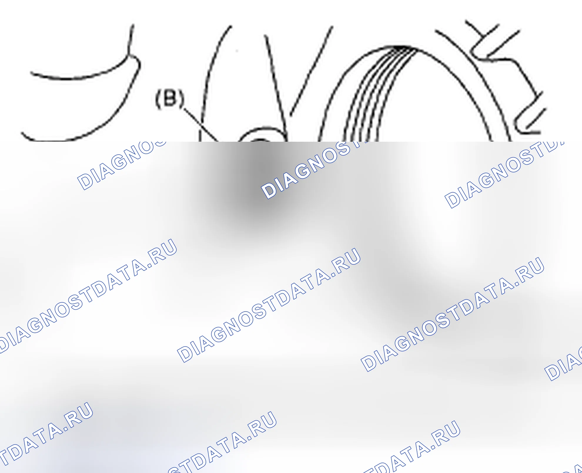 Рис. 516. Subaru Impreza GD/GC/GG рестайлинг 2