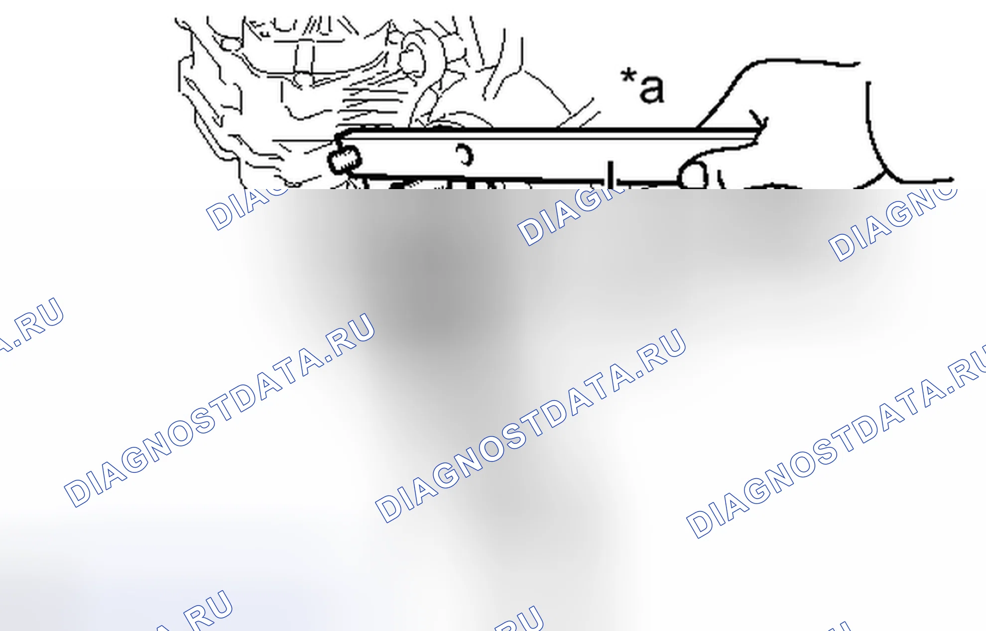 Рис. 62. Haval Raptor I