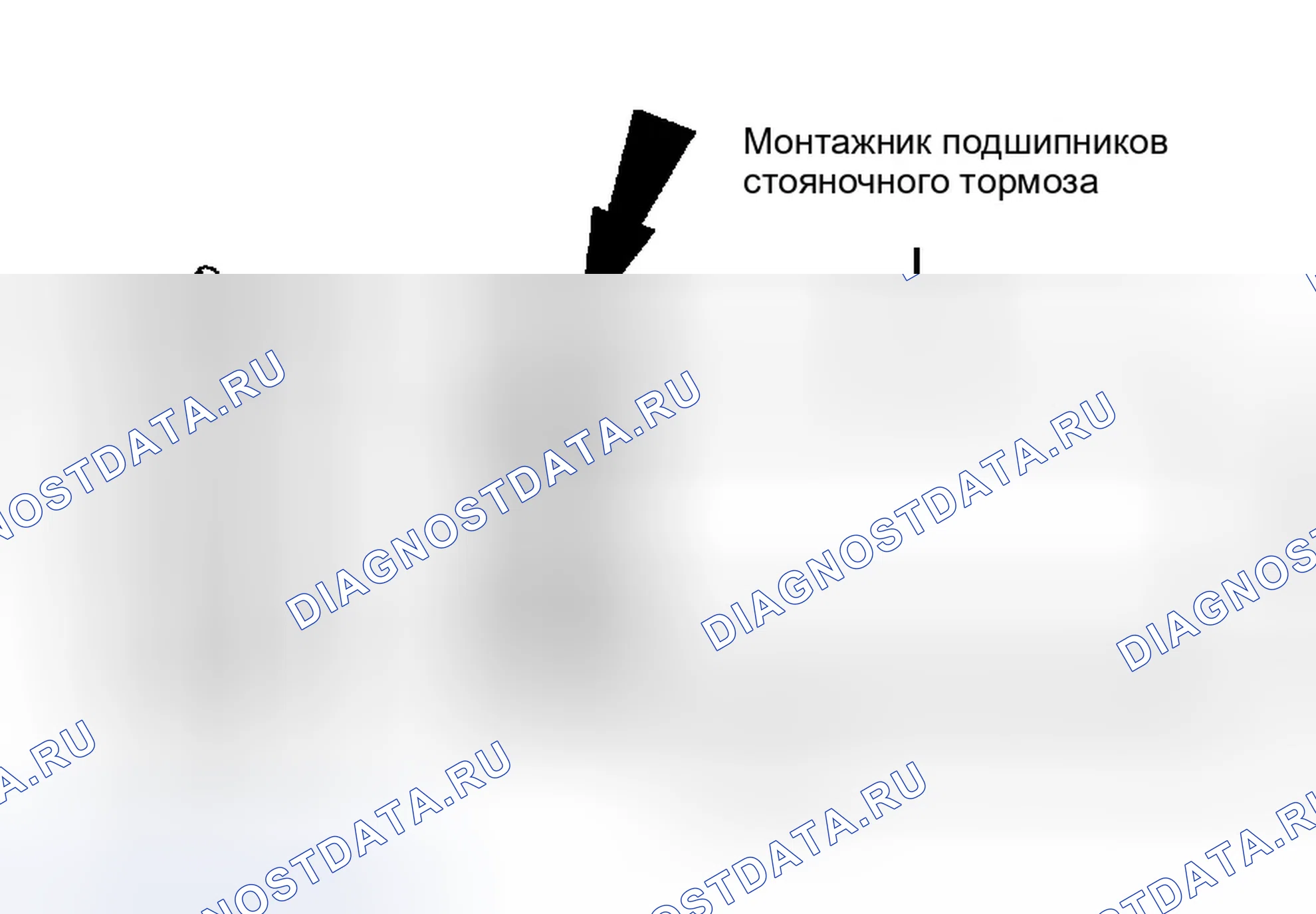 Рис. 15. Ford Ranger I