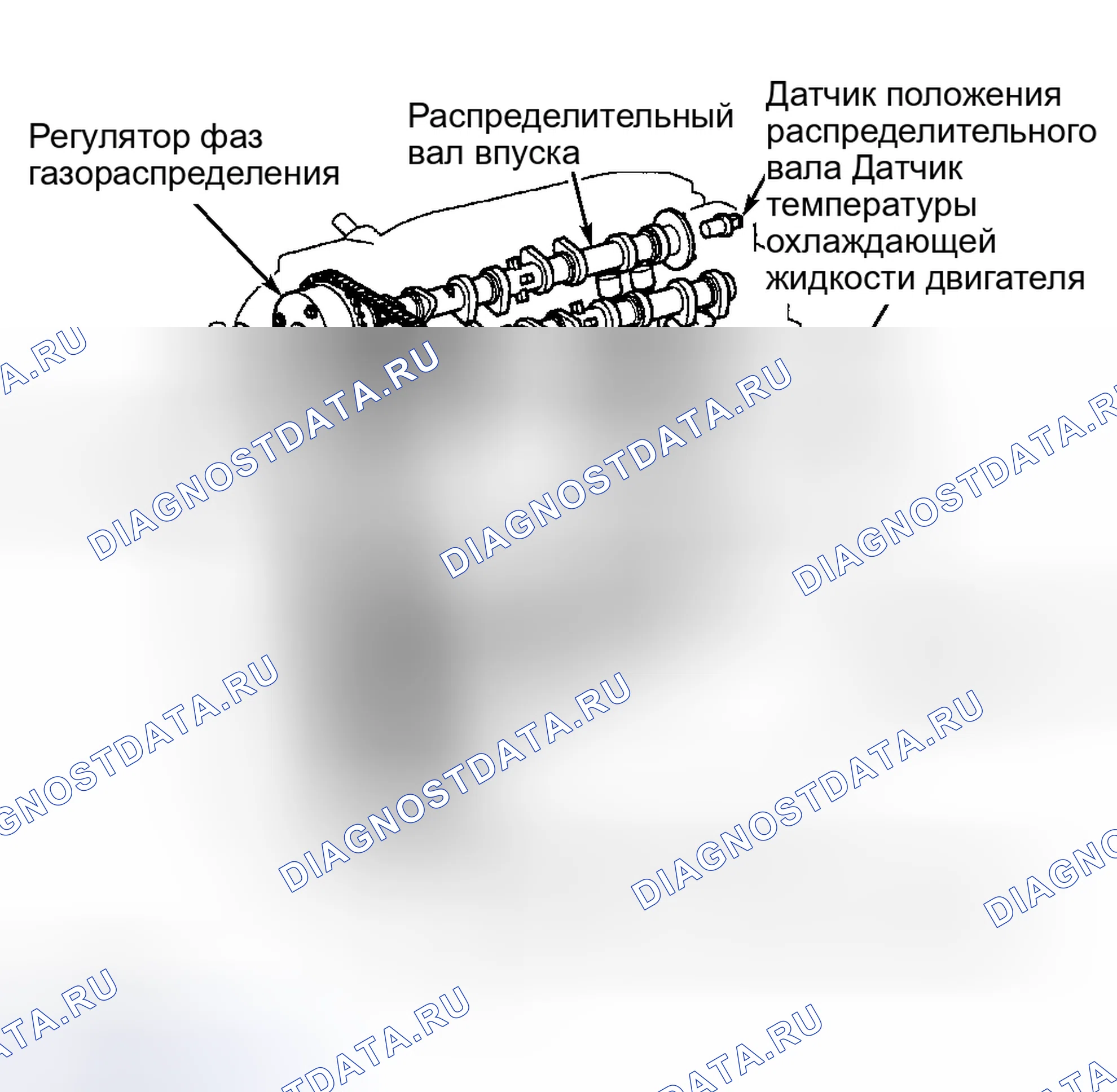 Рис. 56: CAMRY 2.4L 4-CYL., CAMRY SOLARA 2.4L 4-CYL., CELICA, COROLLA, ECHO, HIGHLANDER 2.4L 4-CYL., MATRIX,. Toyota Camry XV30