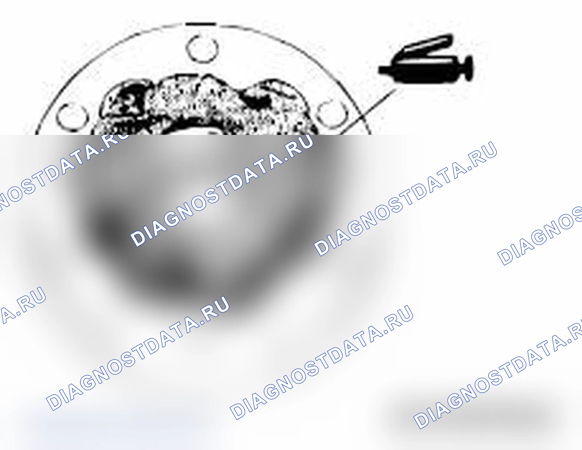 Рис. 27. Mitsubishi Lancer Ralliart X рестайлинг