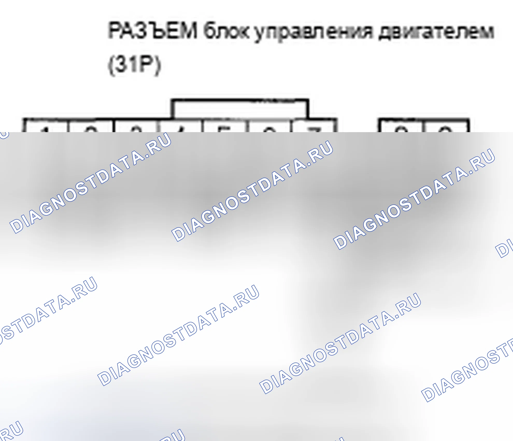 Рис. 183. Acura TSX I