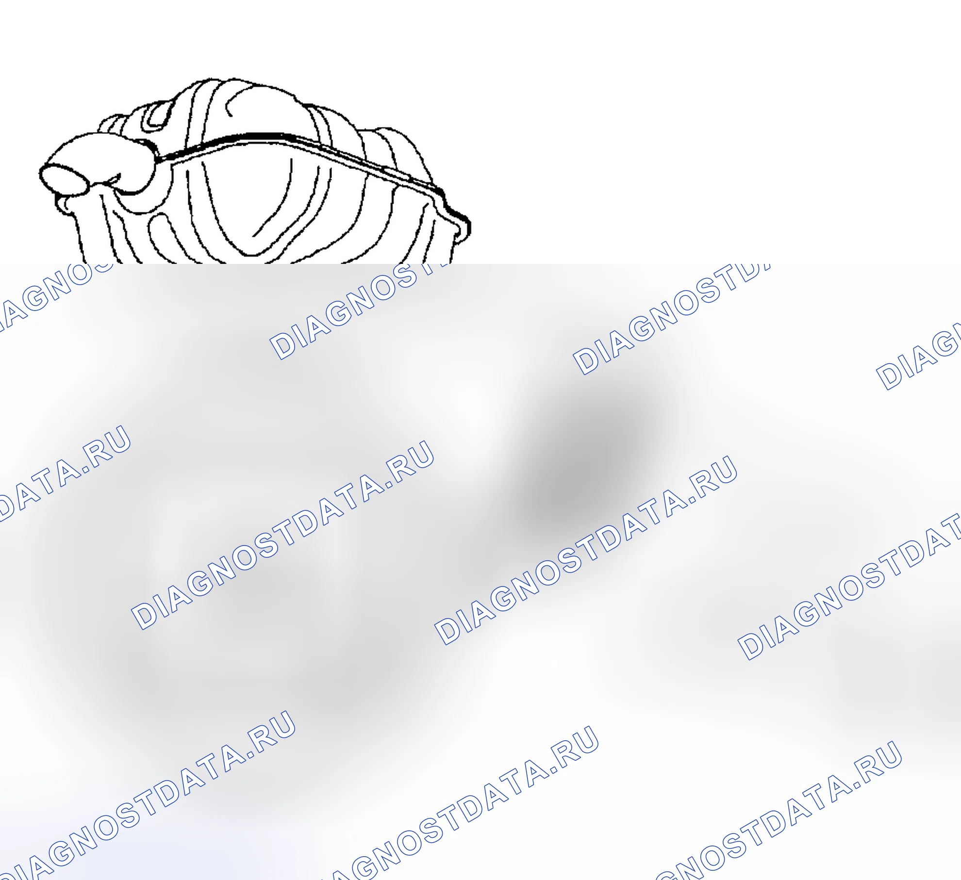 Рис. 33. Kia Rio I рестайлинг