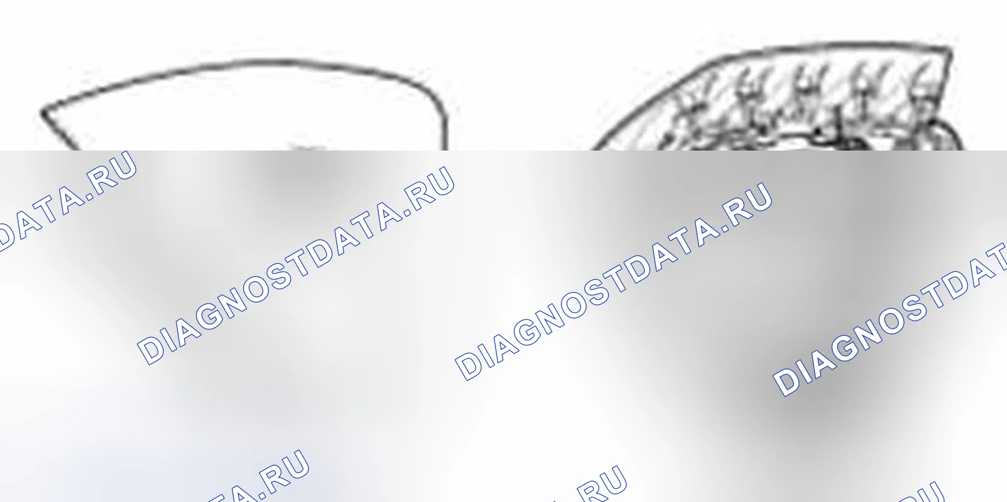 Рис. 169. Hyundai Sonata VI