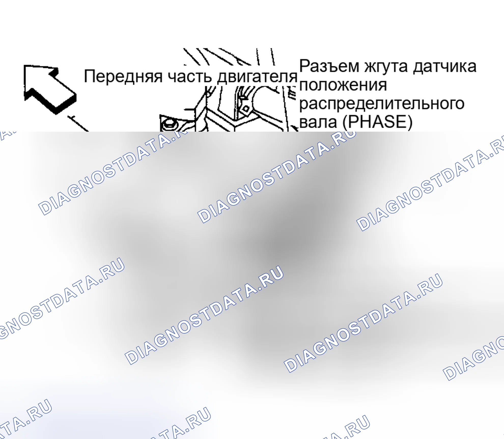 Рис. 26. Nissan Altima L31