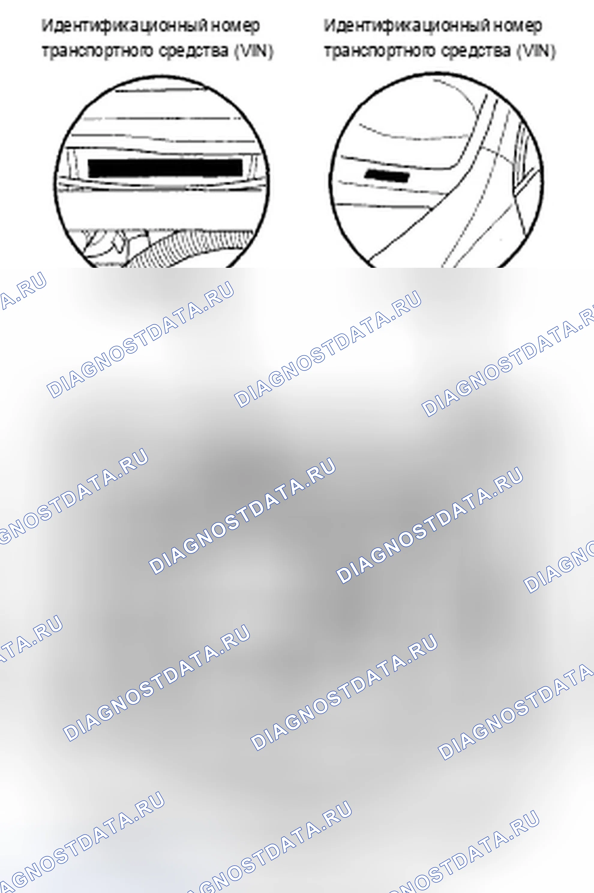 Рис. 25: Расположение идентификационных номеров. Acura TSX I