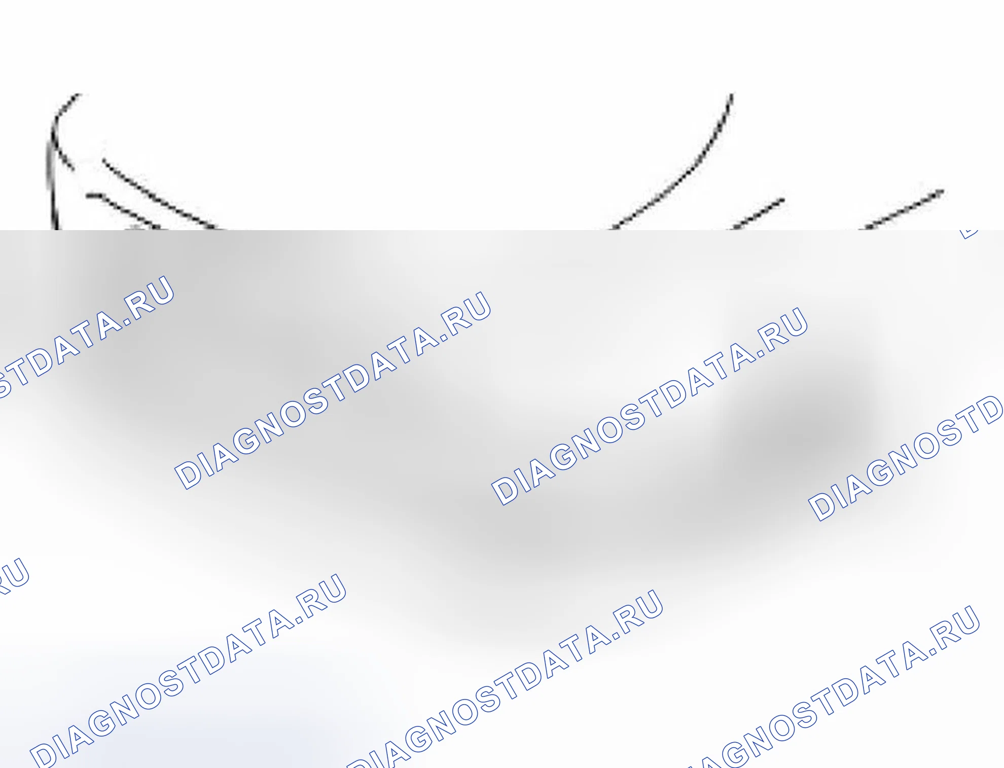 Рис. 119. Jaguar XKR I