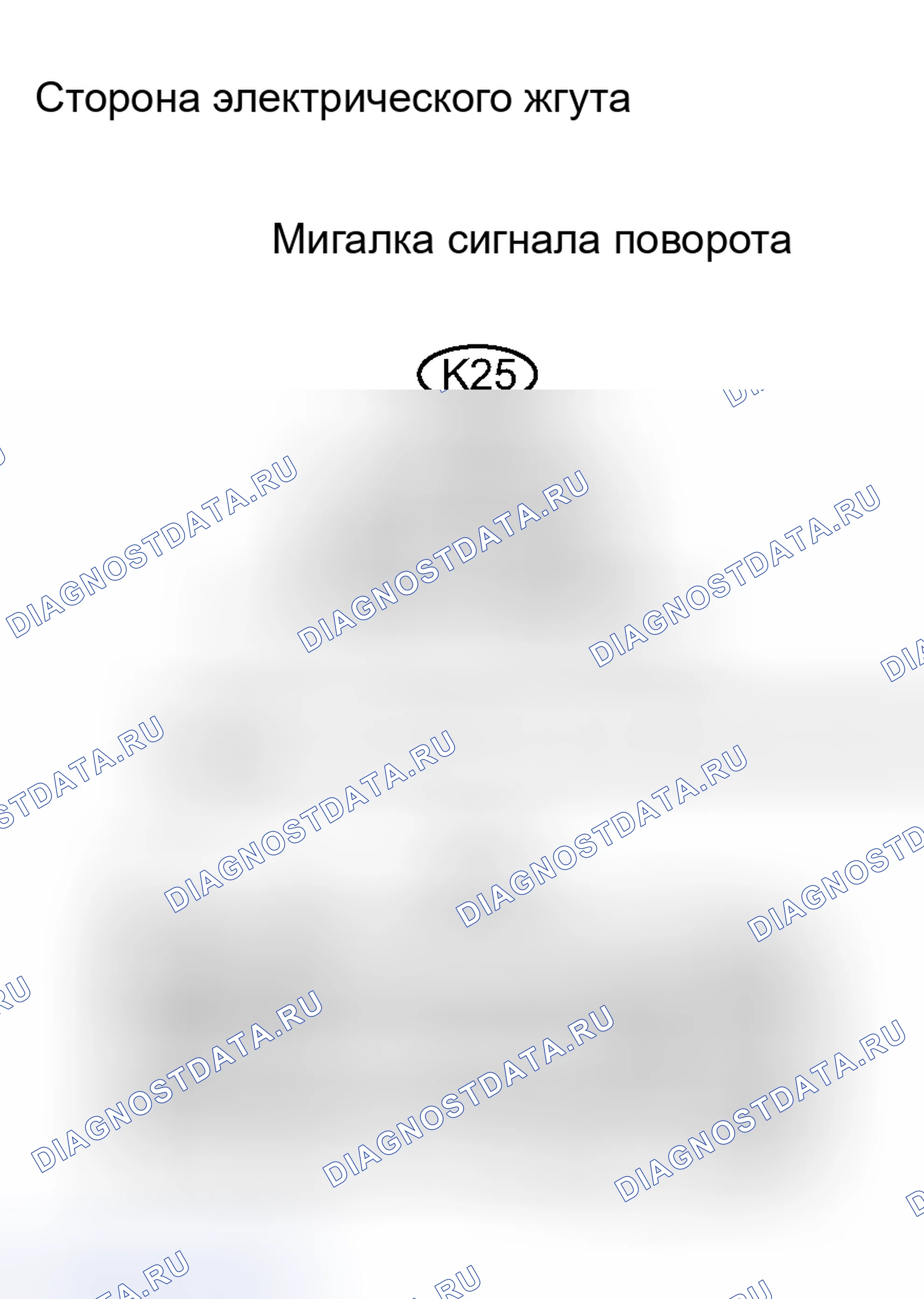 Рис. 51. Haval H8 I