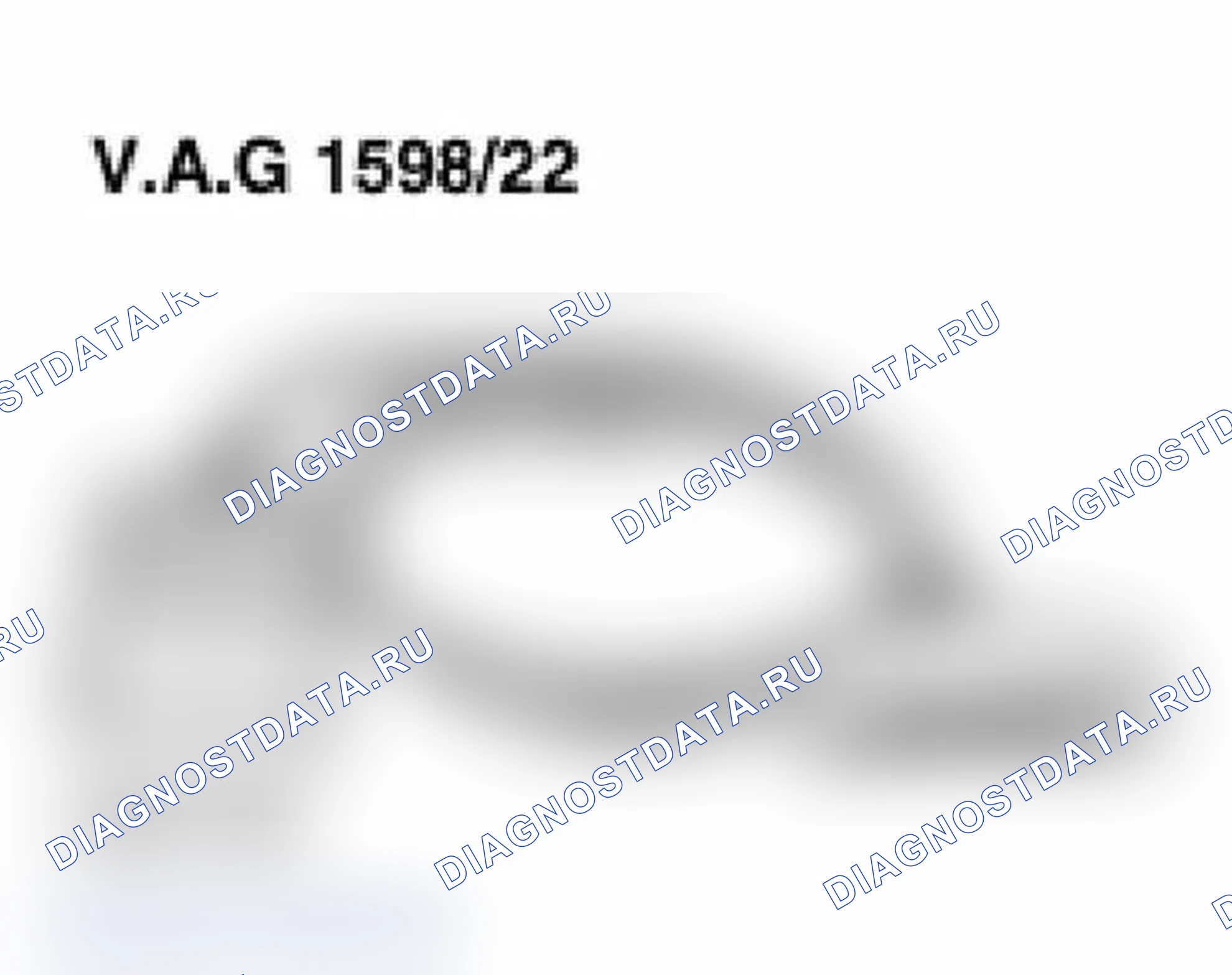 Рис. 168: Идентификация VAG1598/22 испытательной камеры. Audi A6 C5