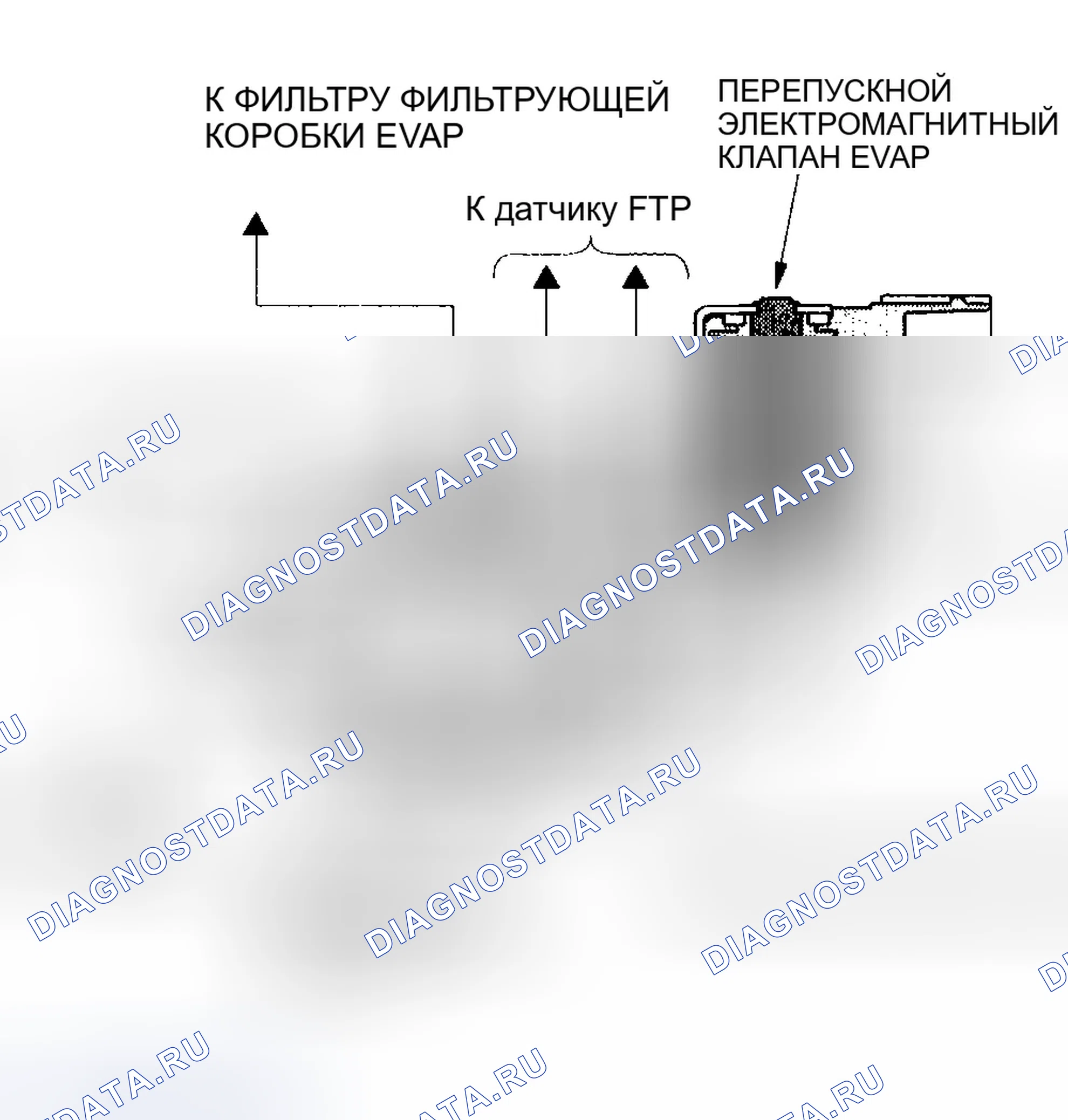 Рис. 80: Двухходовой клапан EVAP и перепускной электромагнитный клапан EVAP. Honda Odyssey II