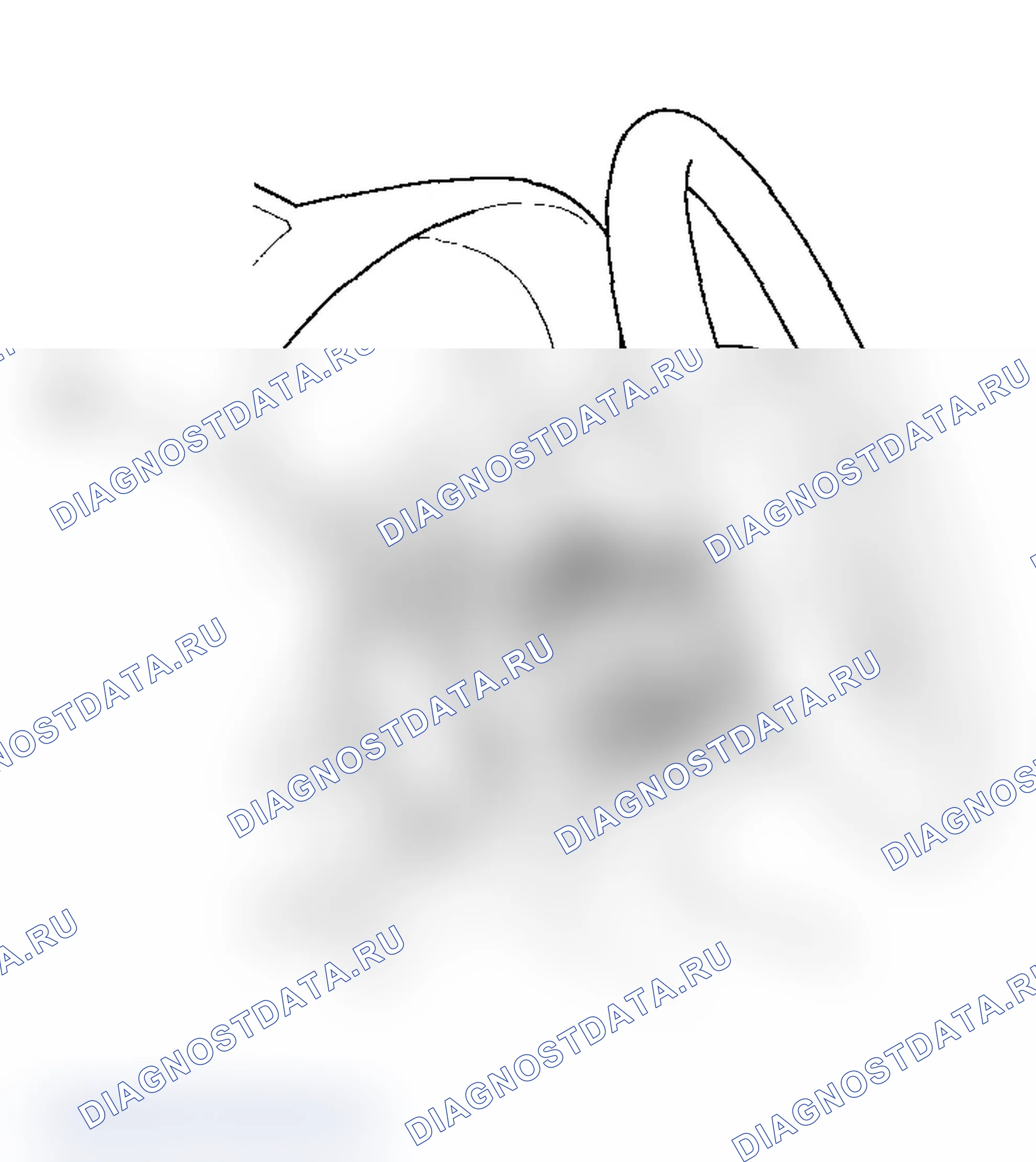 Рис. 121. Acura RSX I