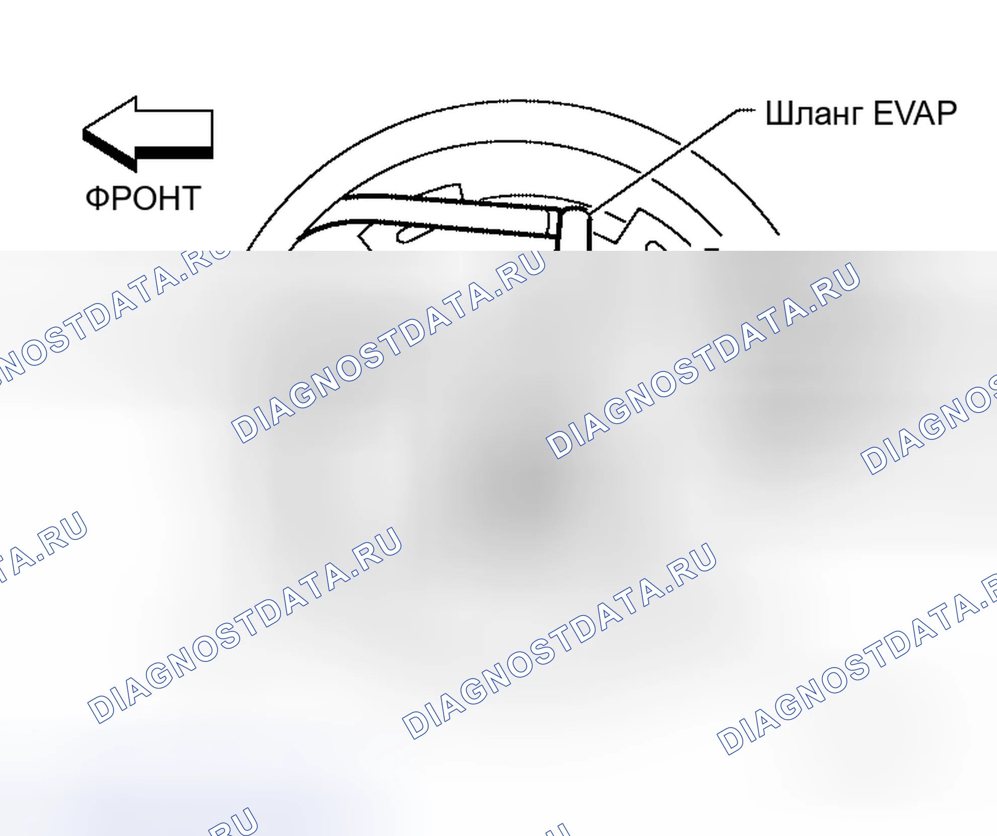 Рис. 22. Honda Mobilio Spike I