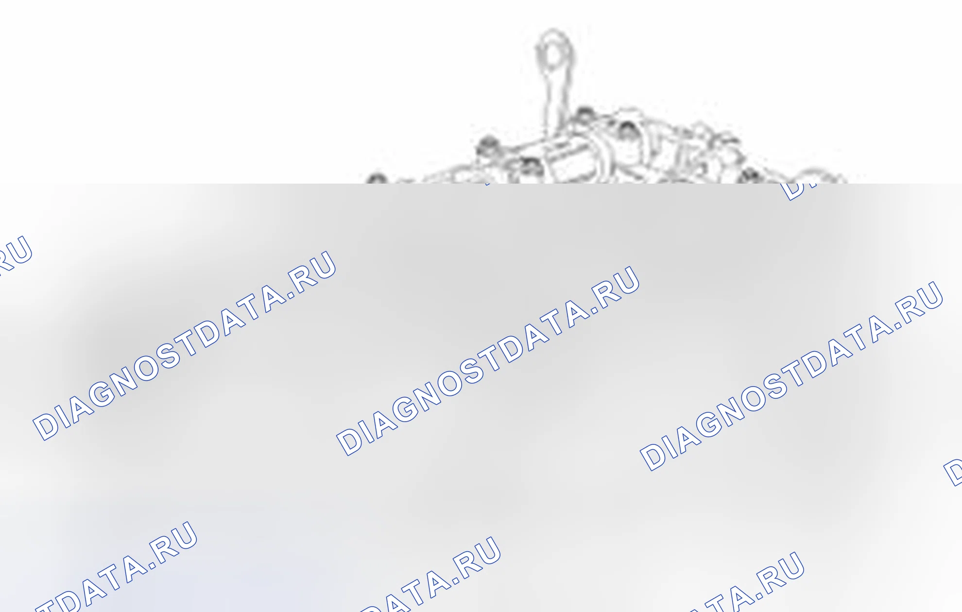 Рис. 274. Haval Beast (Shenshou) I