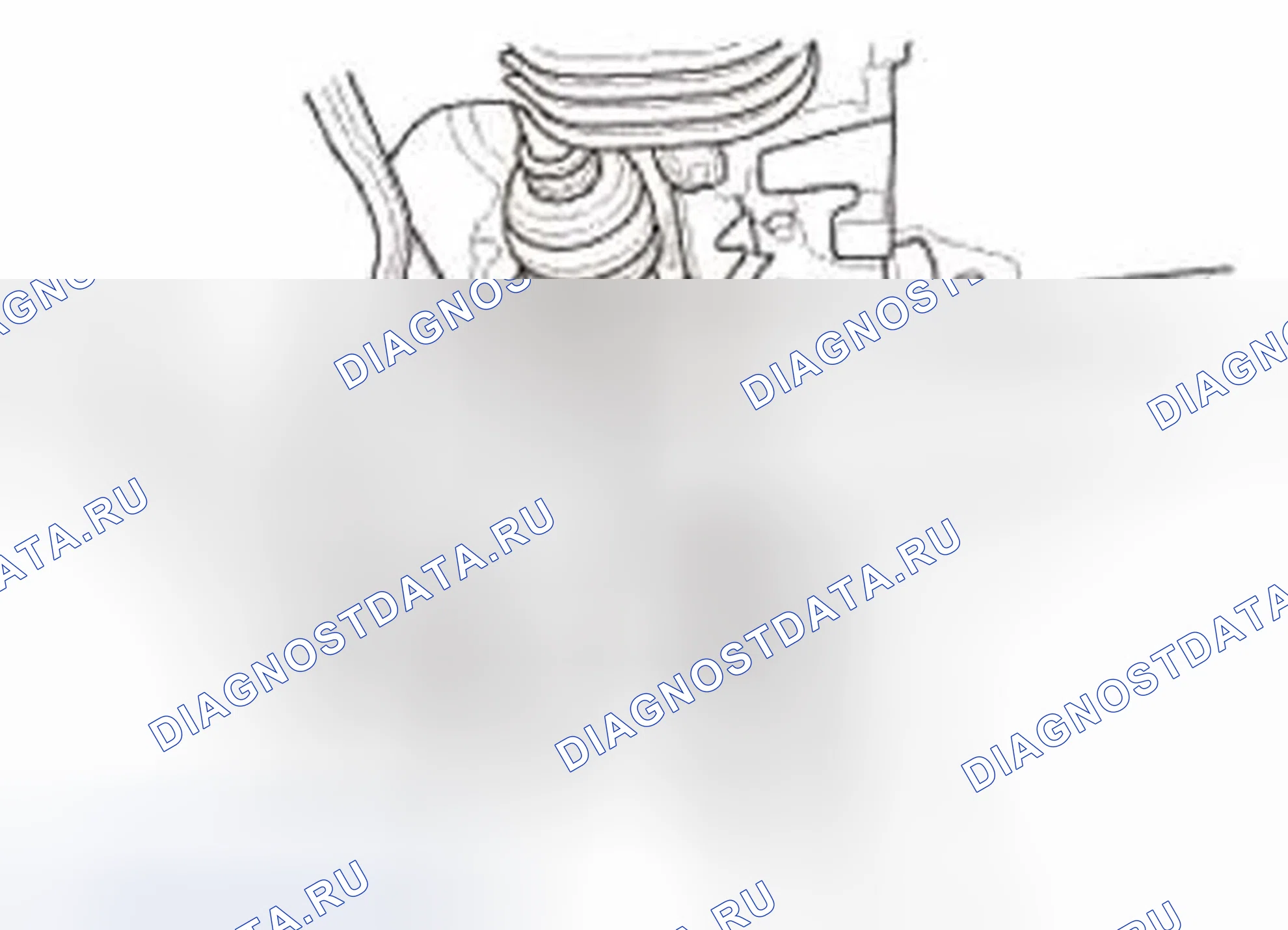 Рис. 427. Honda Civic IX