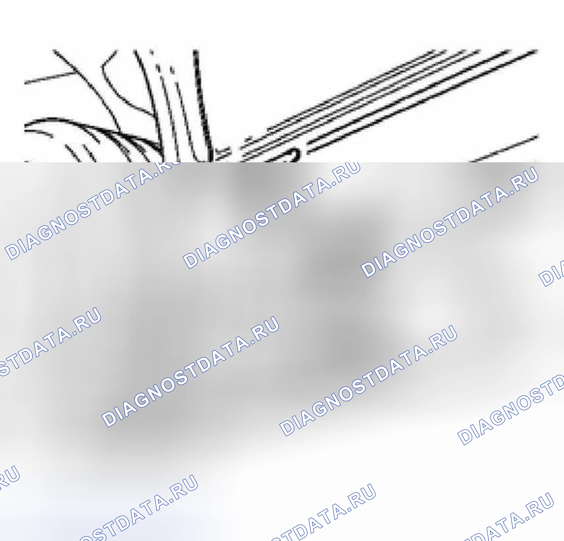 Рис. 26: Спереди. Volkswagen Golf Mk4