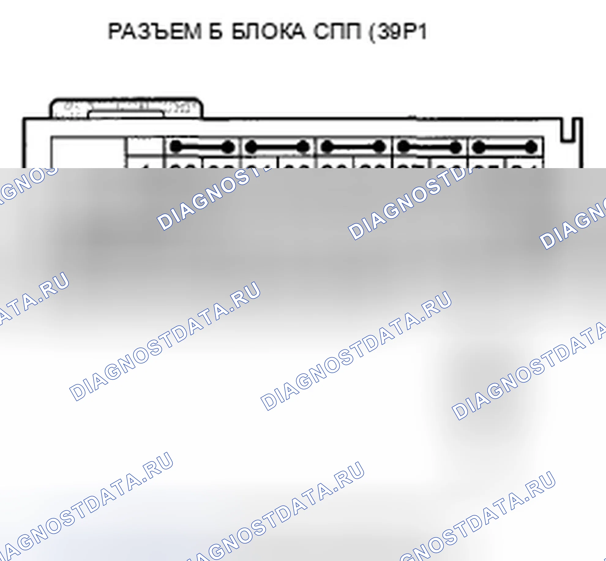Рис. 415. Honda Crosstour I