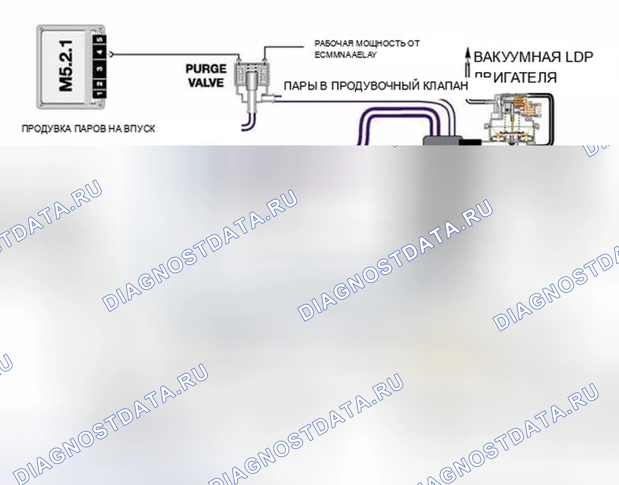 Рис. 7: Насос для диагностики утечек (система LDP). BMW X5 E53