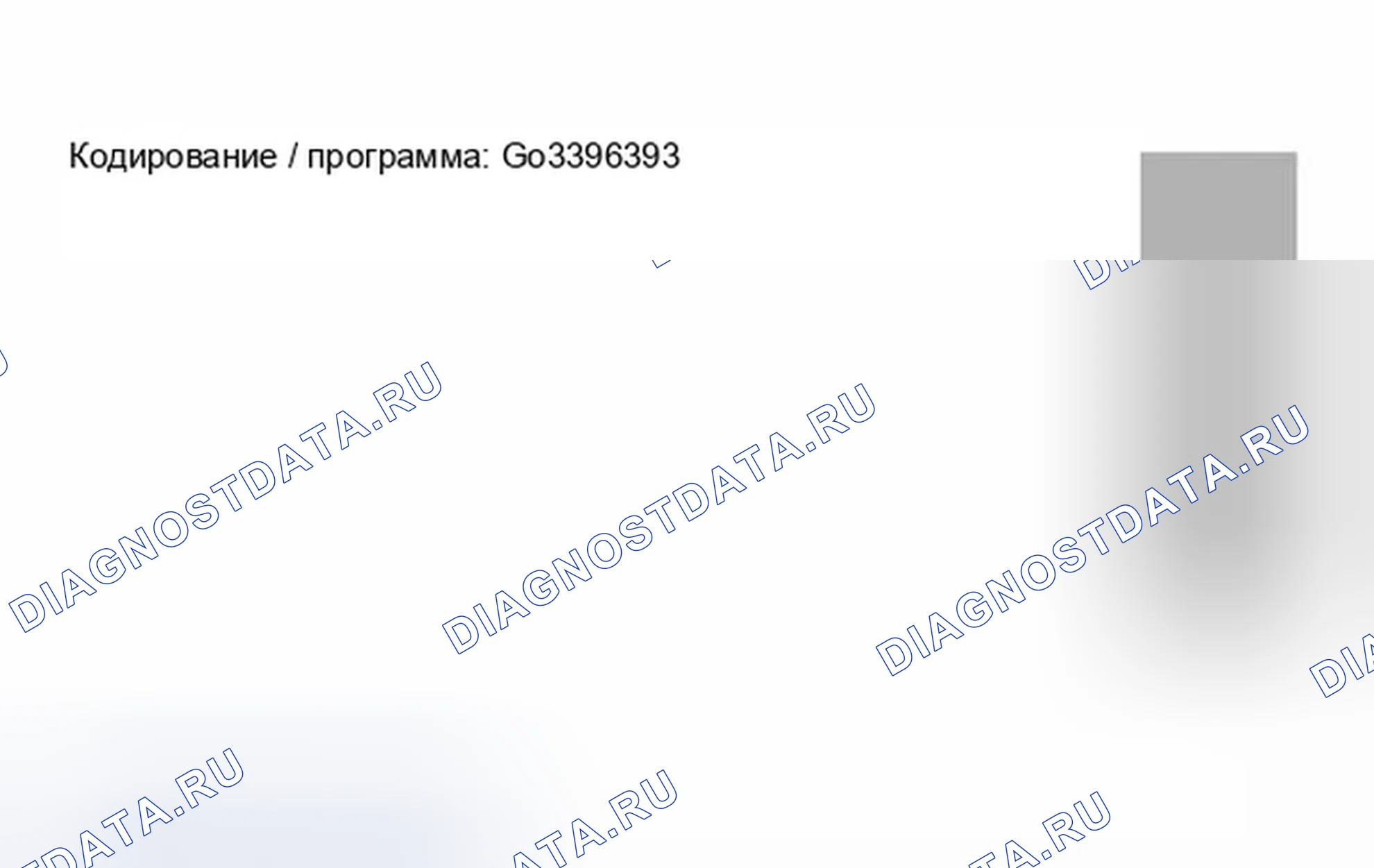 Рис. 609: Идентификация кодирования/программы. BMW X5 E53
