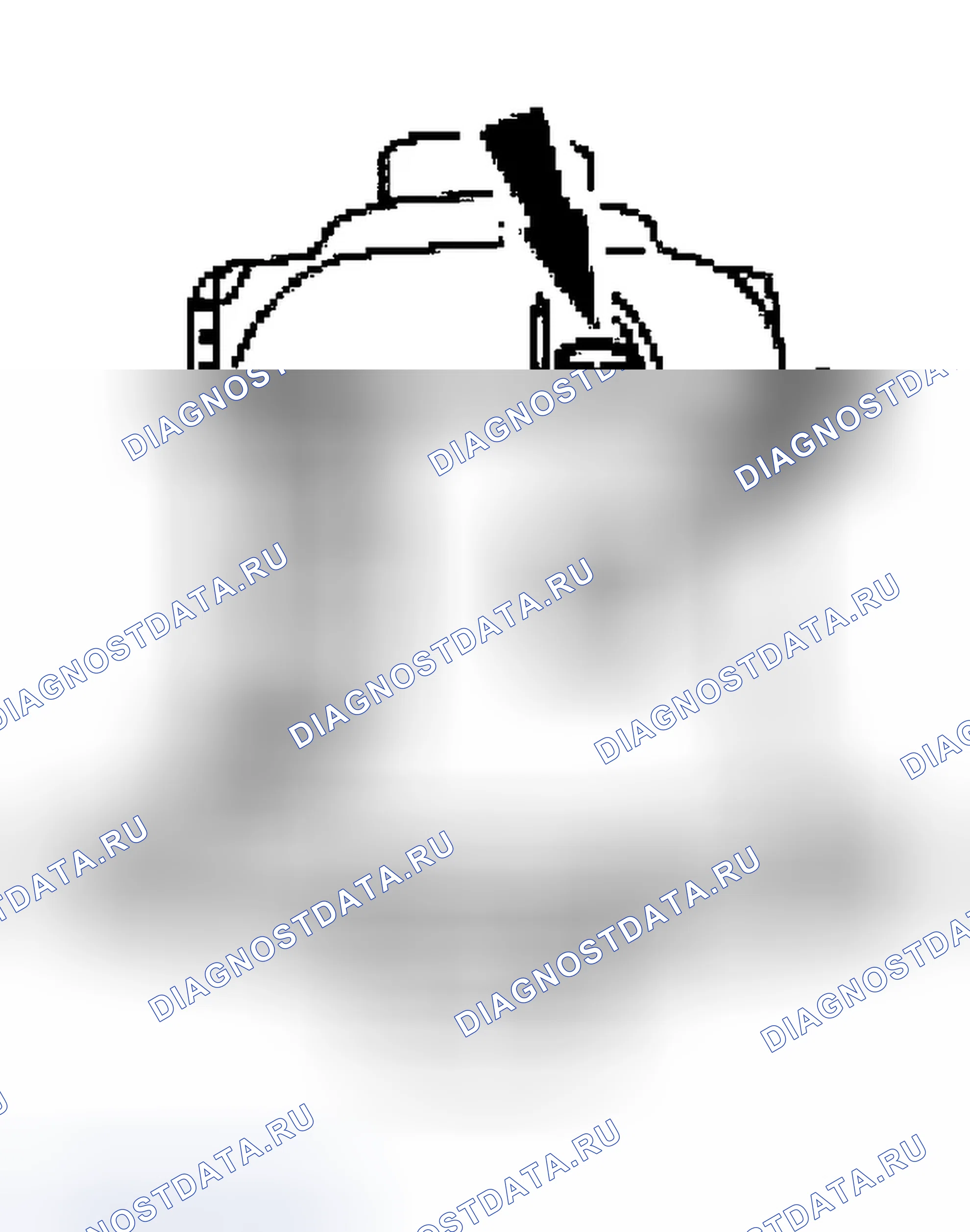 Рис. 234. Ford Crown Victoria II