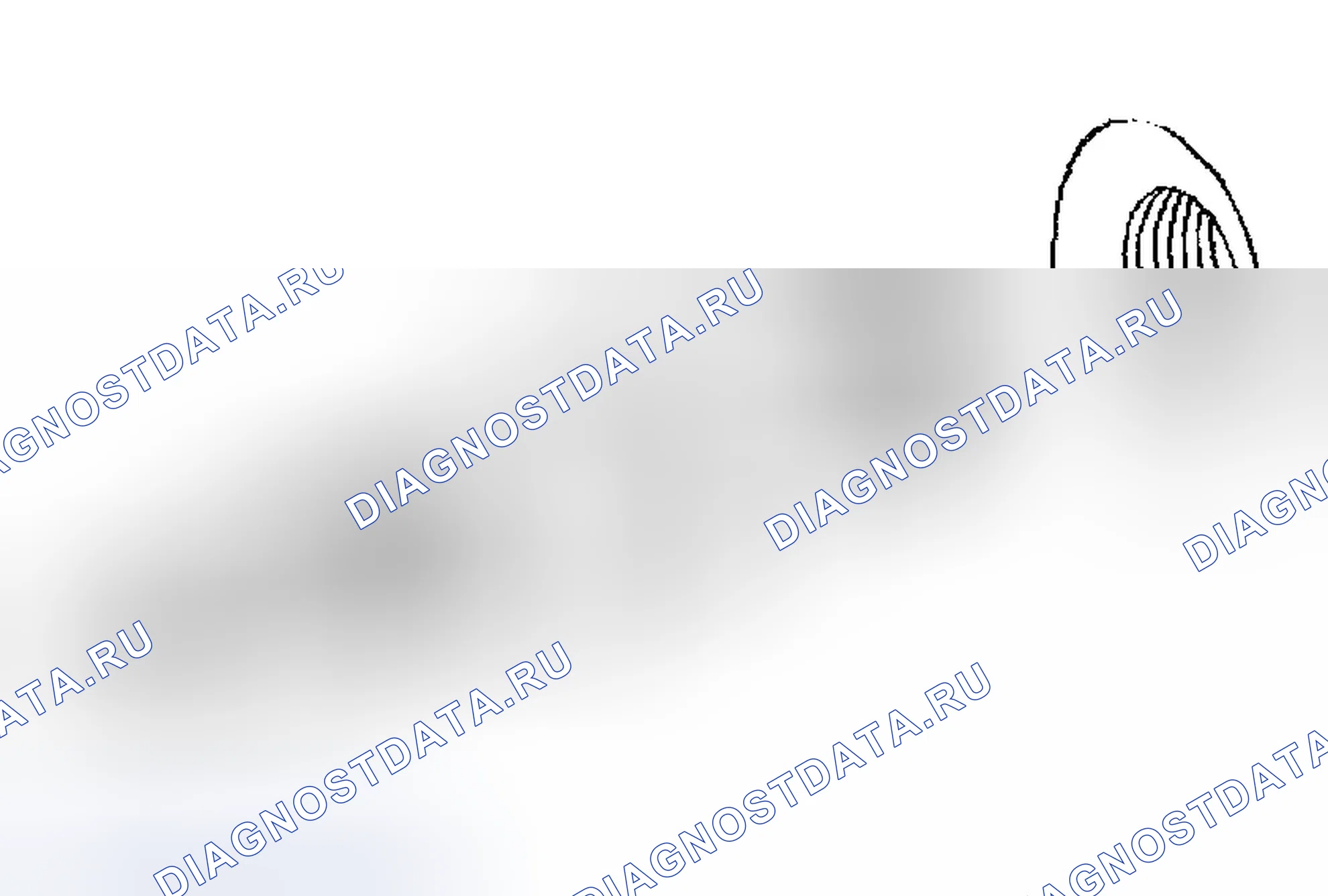 Рис. 1323. Chevrolet Silverado 1500 HD 
