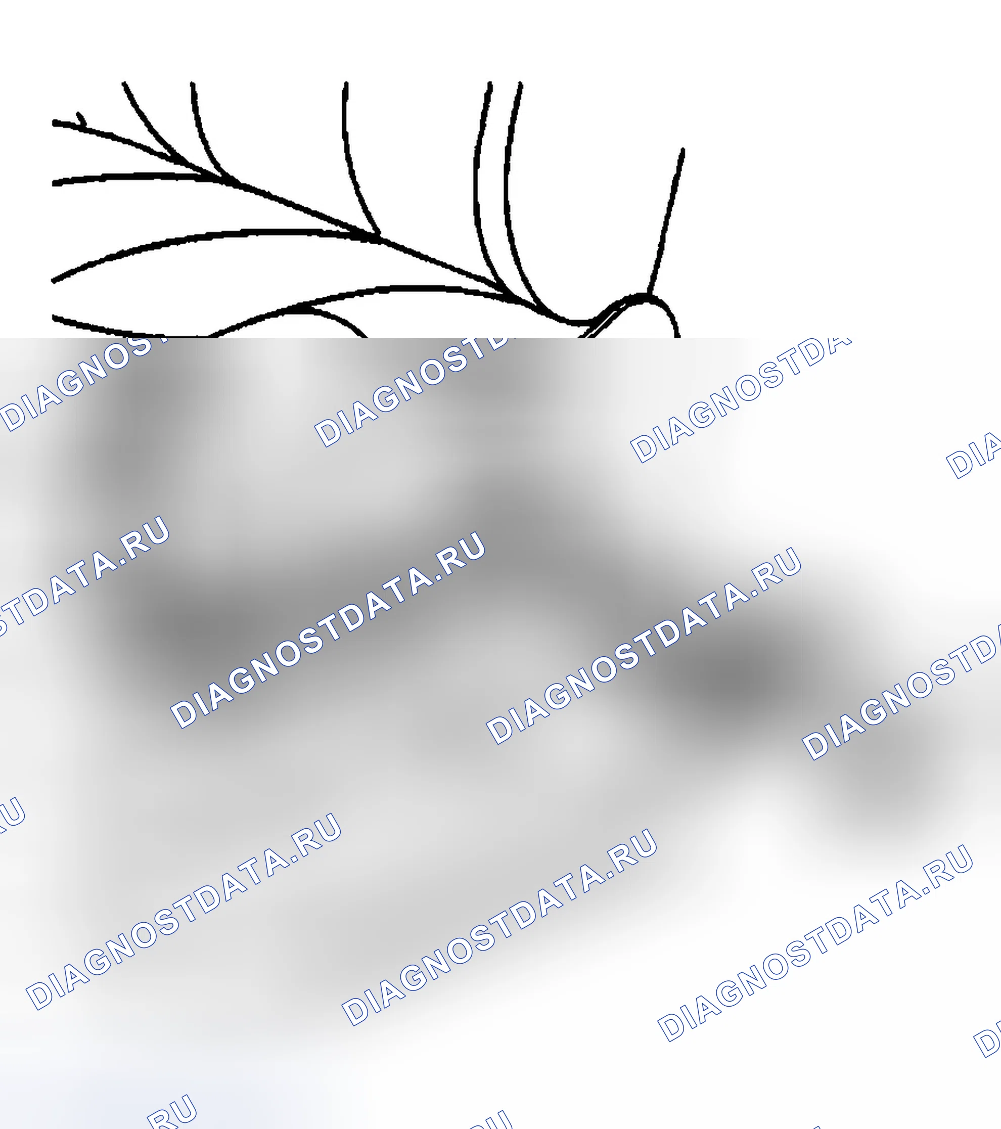 Рис. 145: Процедура установки. Chevrolet Silverado 1500 HD 