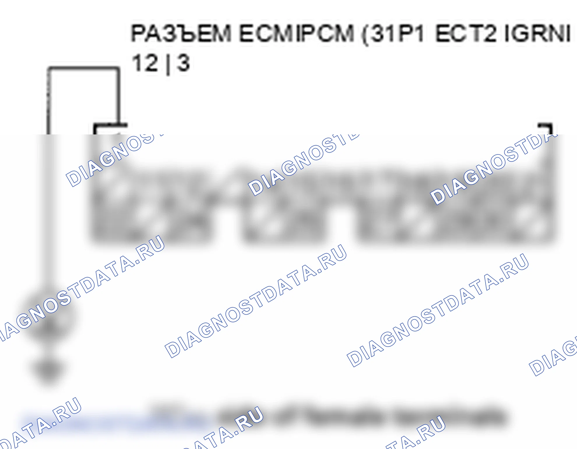 Рис. 499. Honda Element YH2 рестайлинг 2