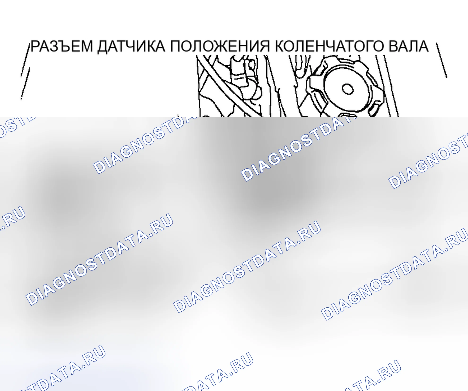 Рис. 897. Honda Edix I