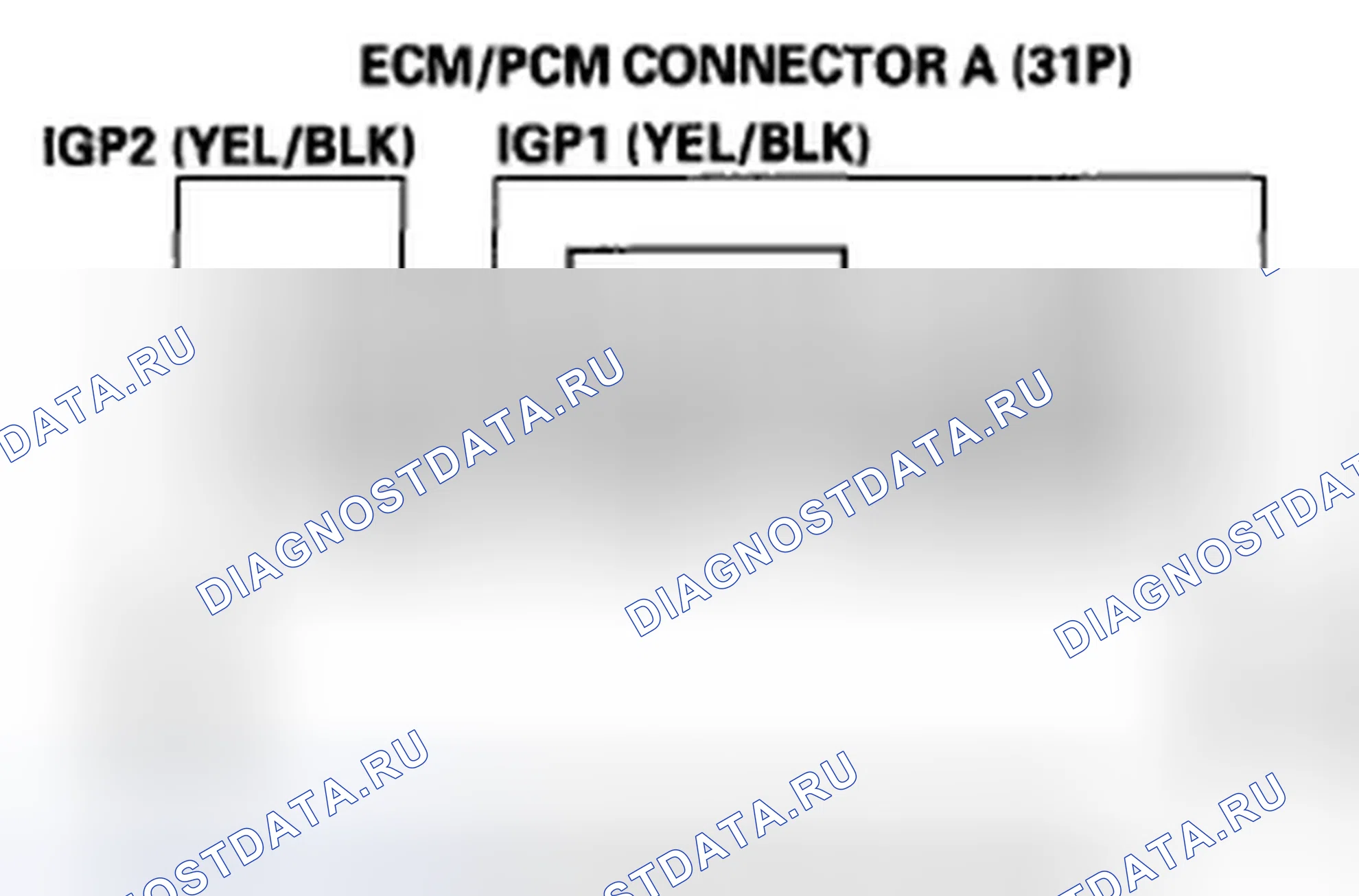 Рис. 455. Honda Element YH2 рестайлинг