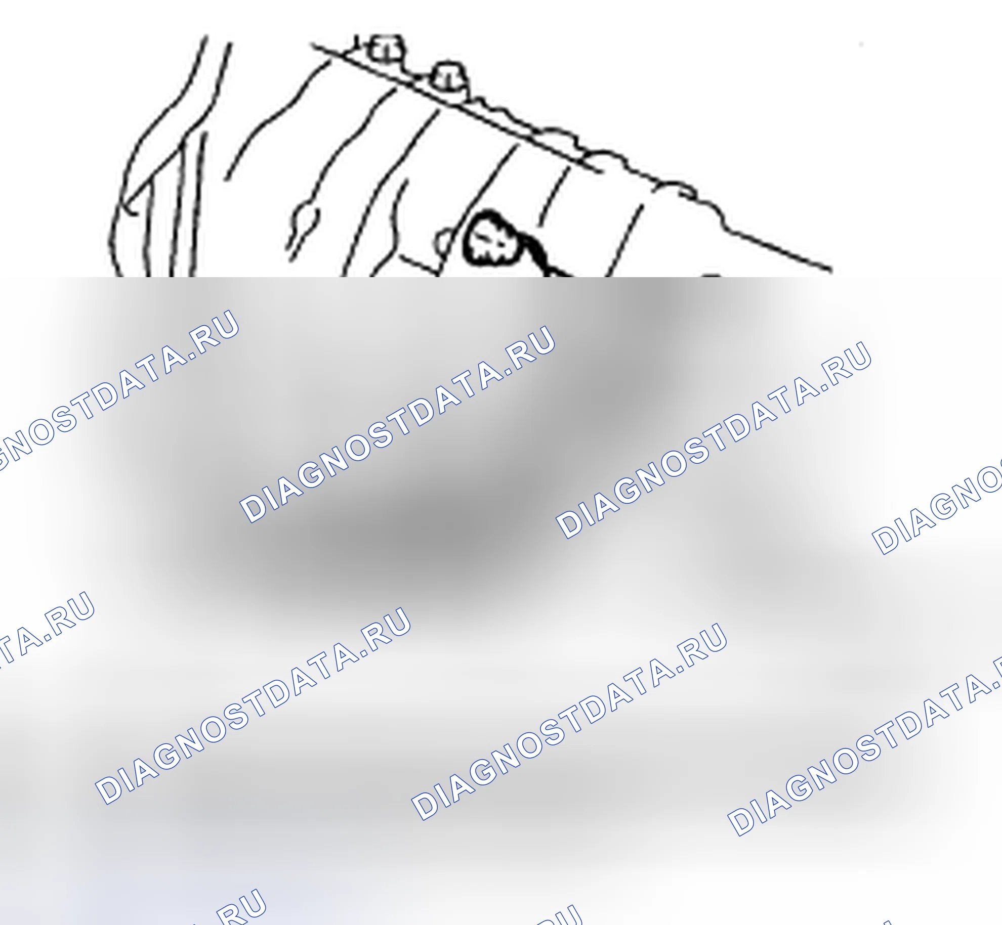 Рис. 210. Subaru Impreza WRX STI GD рестайлинг 2