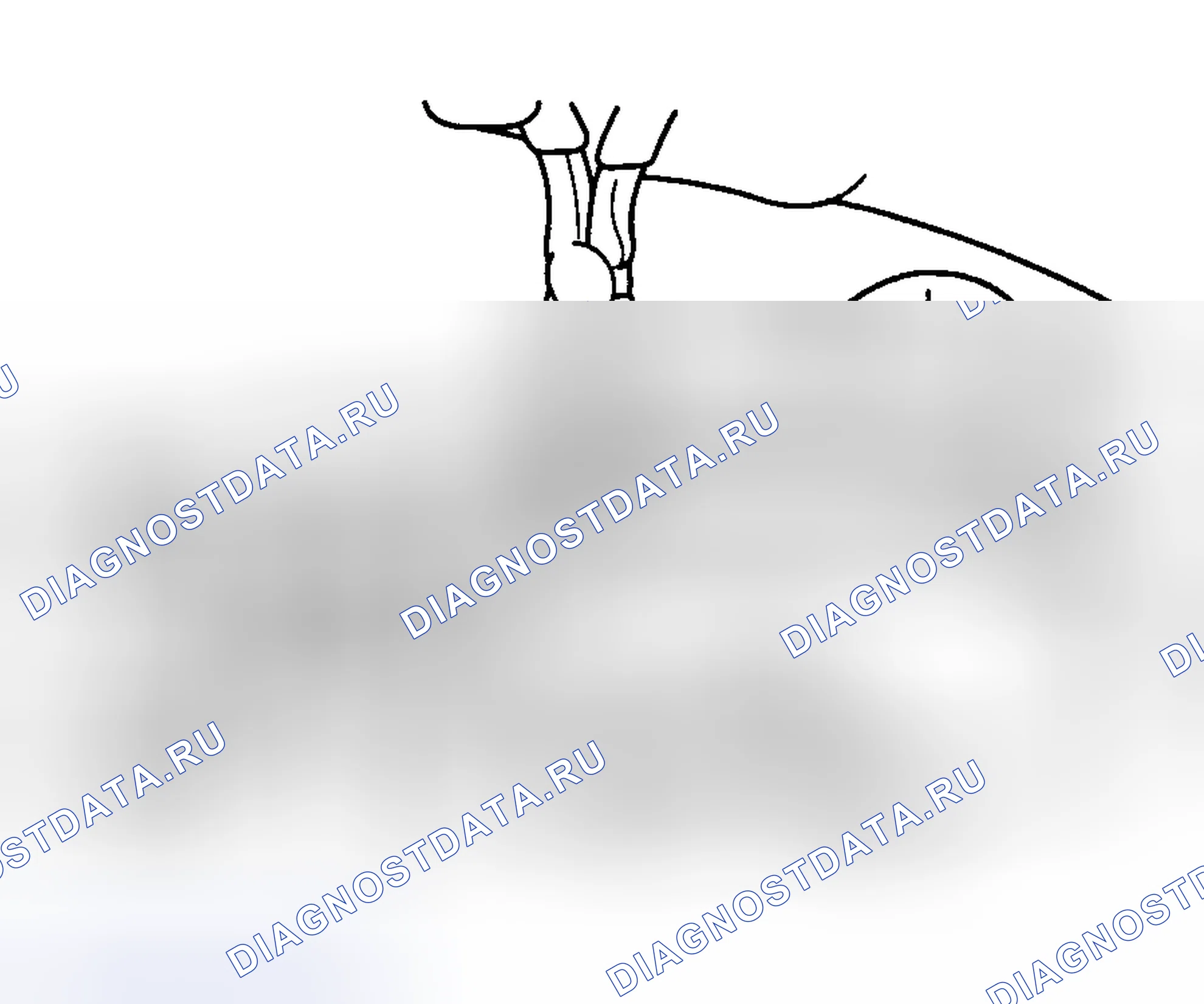 Рис. 168. Haval Chitu I