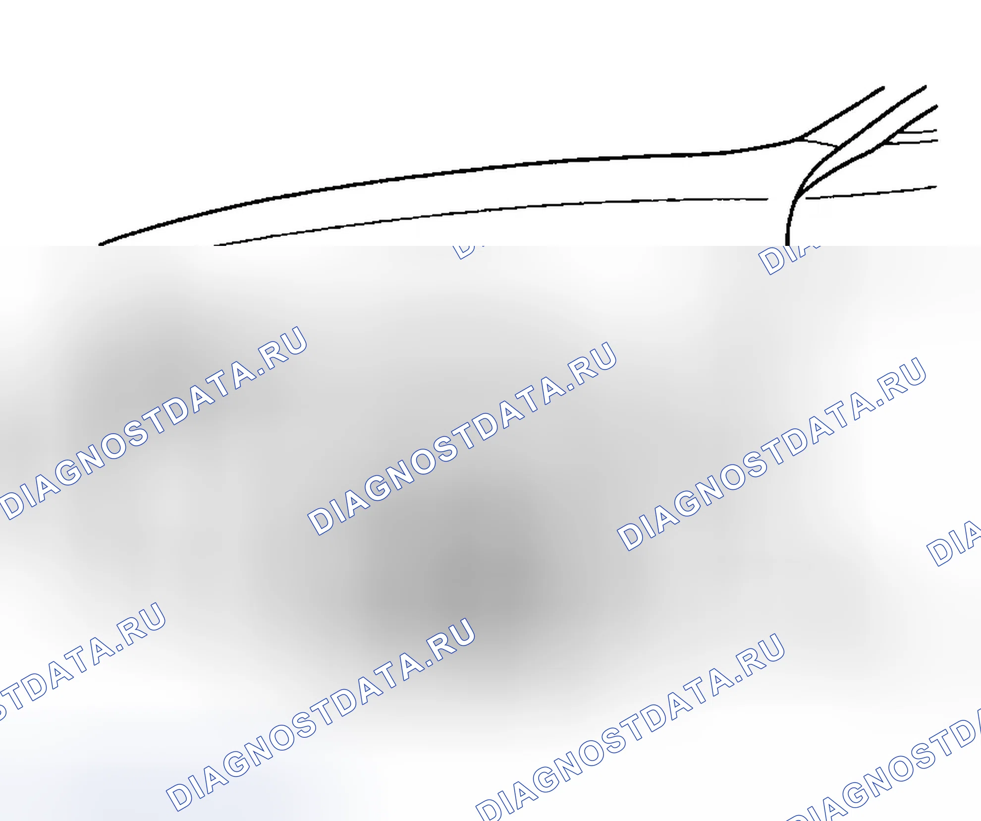 Рис. 4. Hyundai Tiburon II рестайлинг