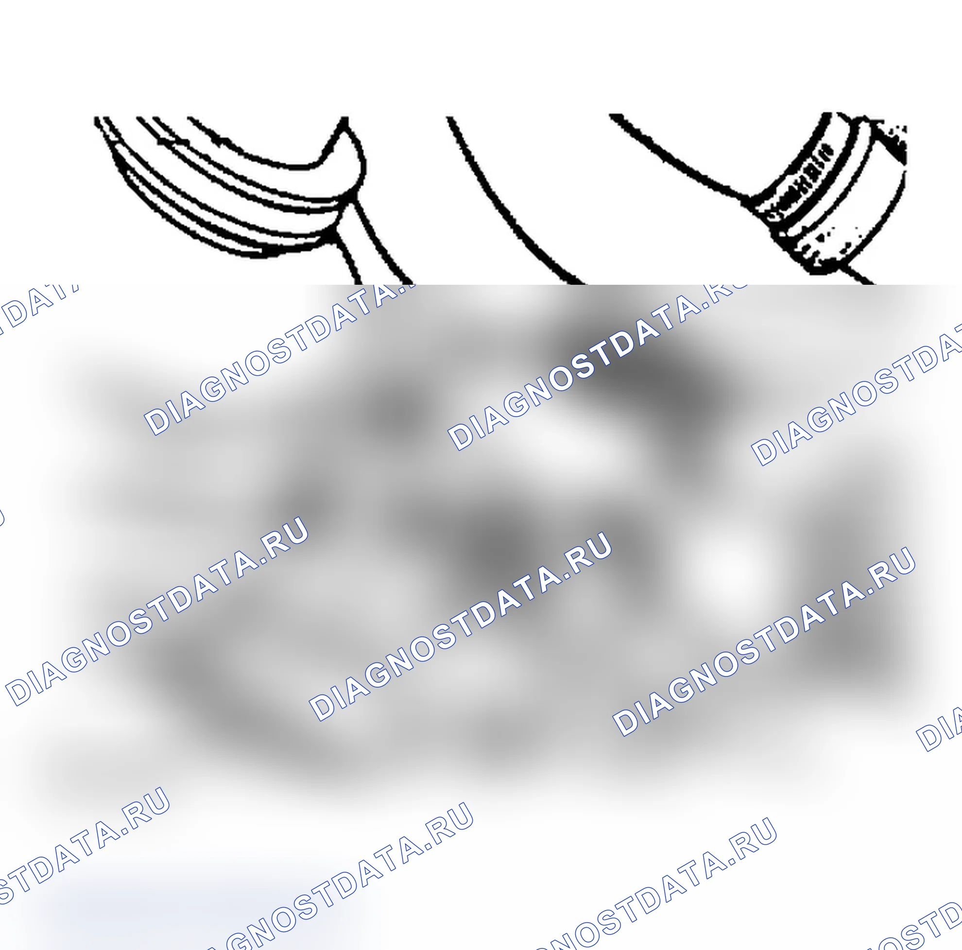 Рис. 2. Volkswagen Passat B3