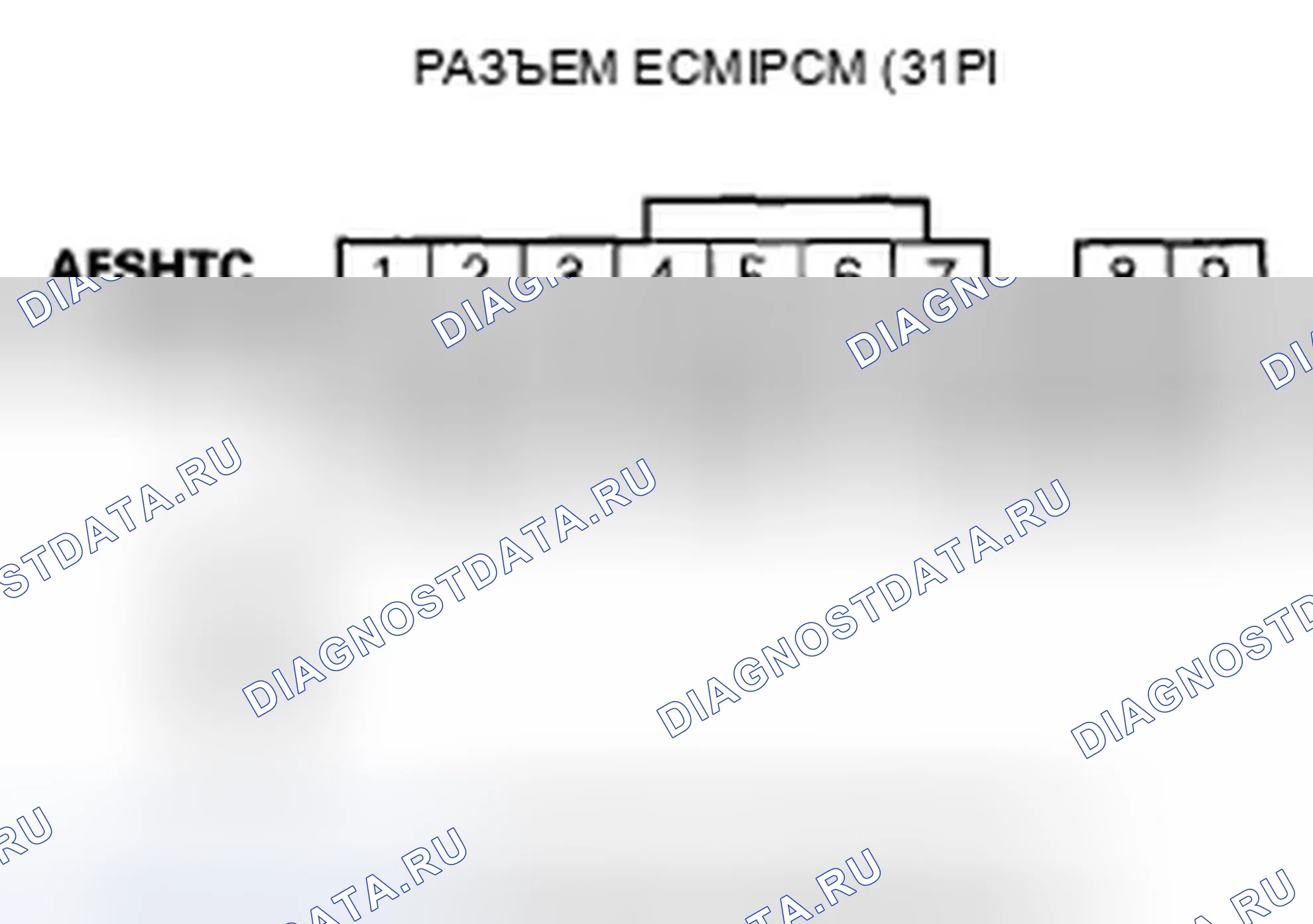 Рис. 388. Honda Element YH2 рестайлинг 2