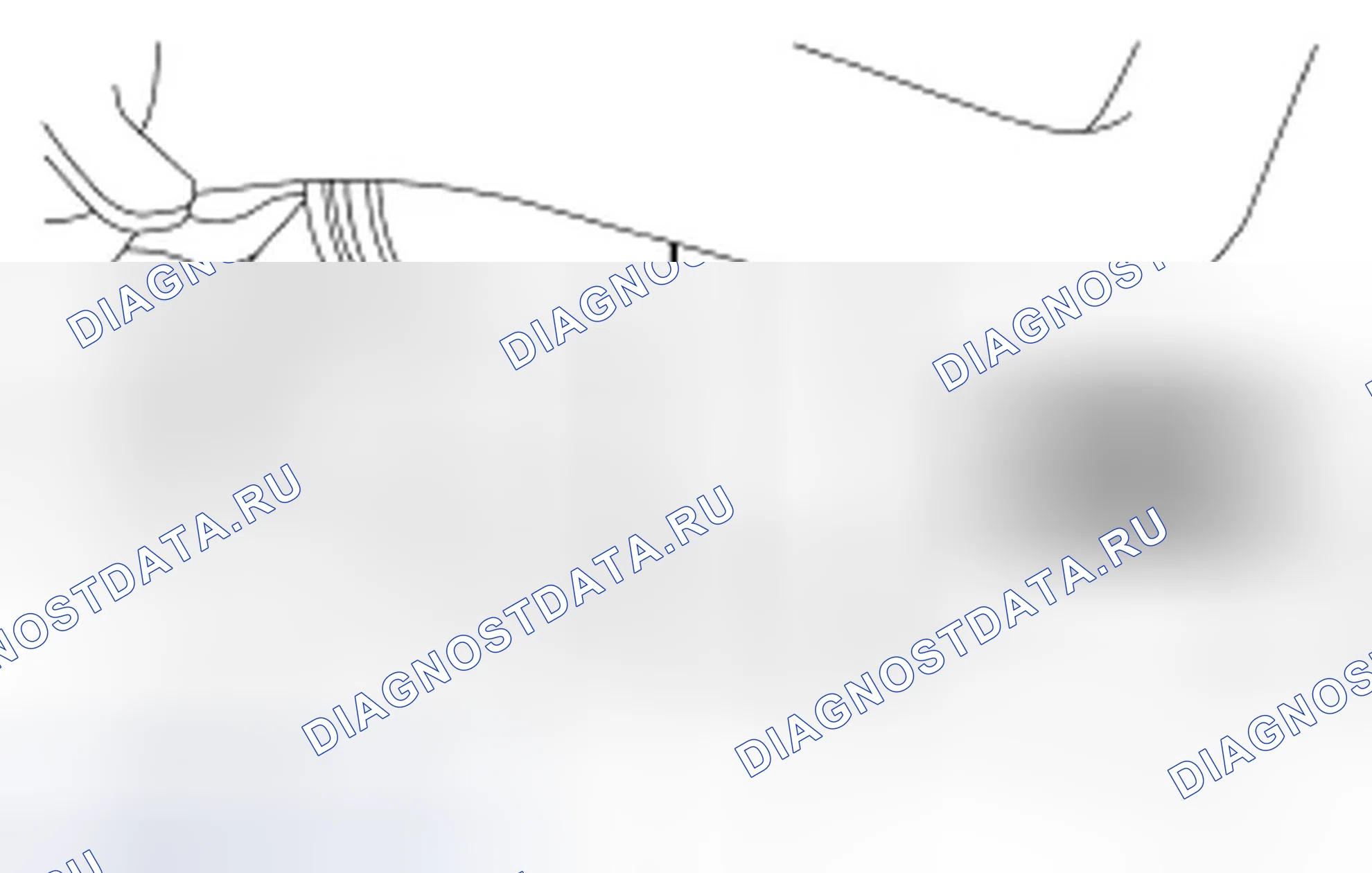 Рис. 73. Ford Freestyle I
