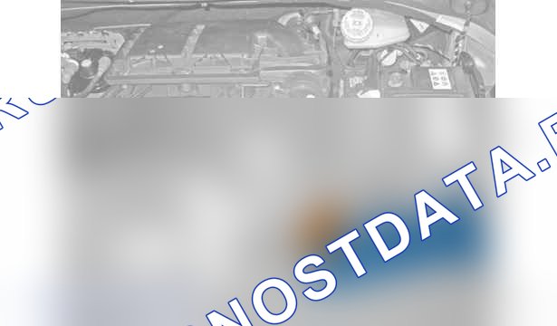 Проверка: давление масла — b1bd03pd. Citroen C-Elysee I