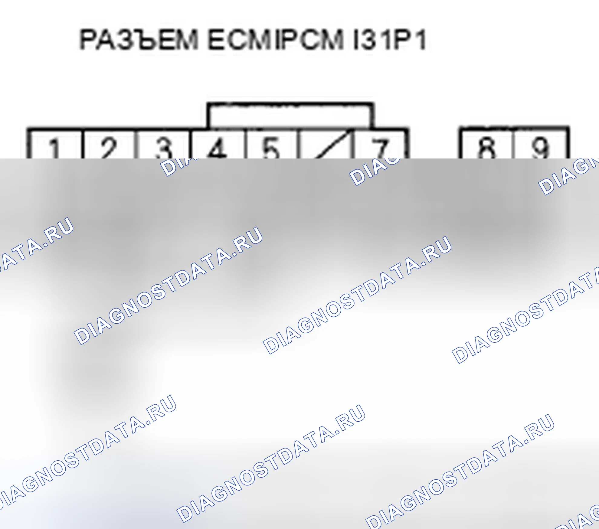 Рис. 502. Honda Element YH2 рестайлинг