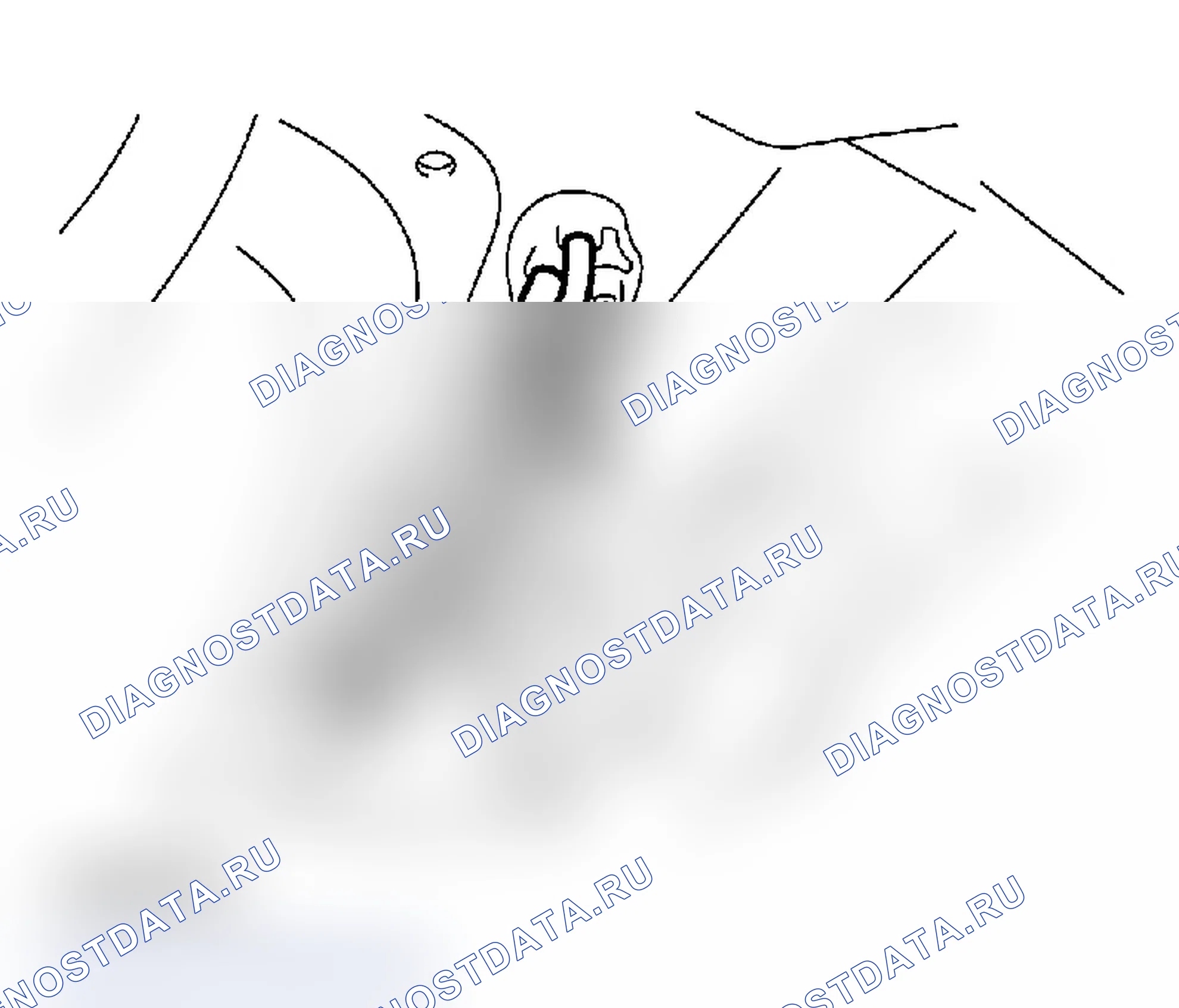 Рис. 155. Subaru Impreza WRX GD/GG рестайлинг