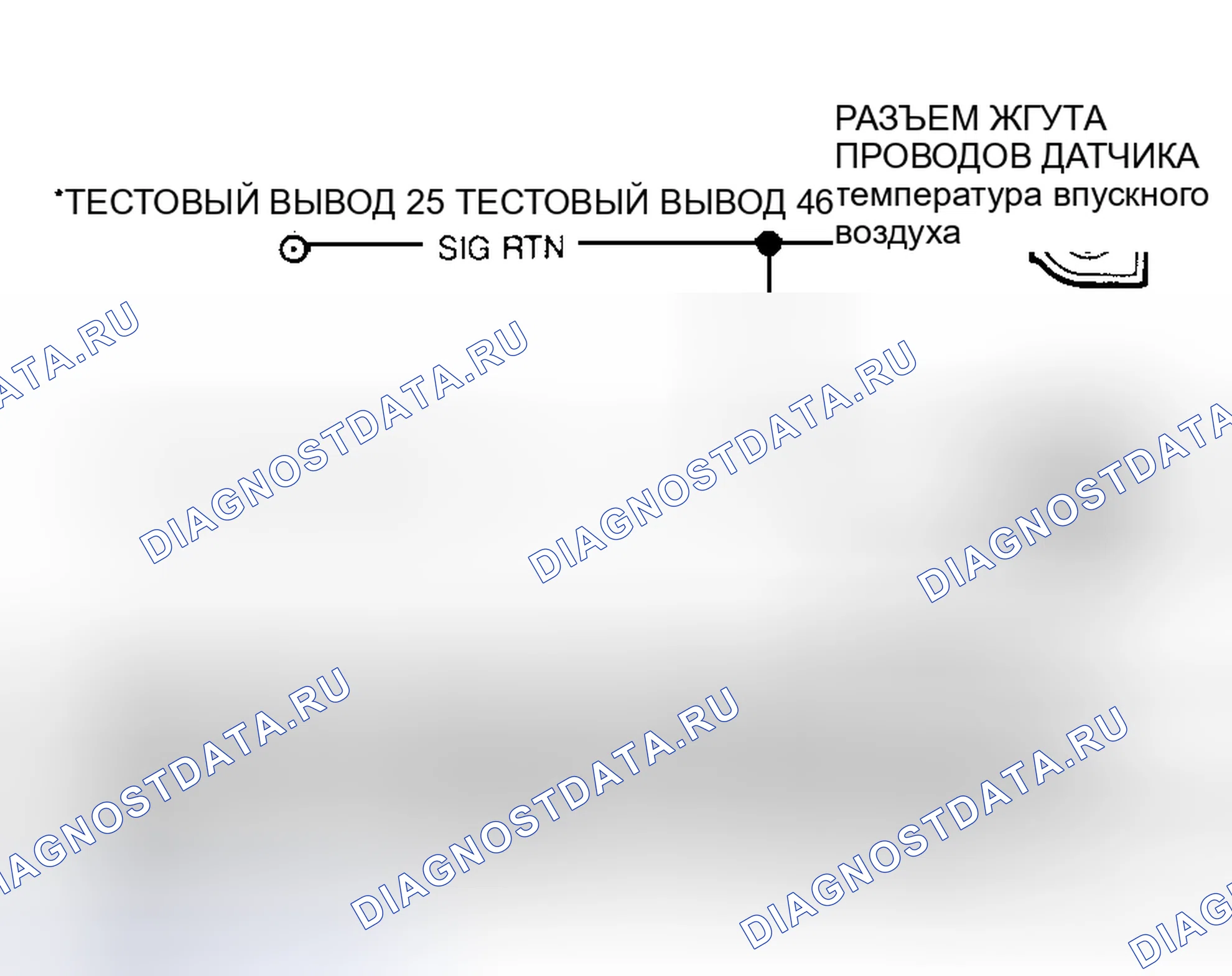 Рис. 38: Идентификация цепей датчика температуры и клемм соединителя. Mazda 121 II