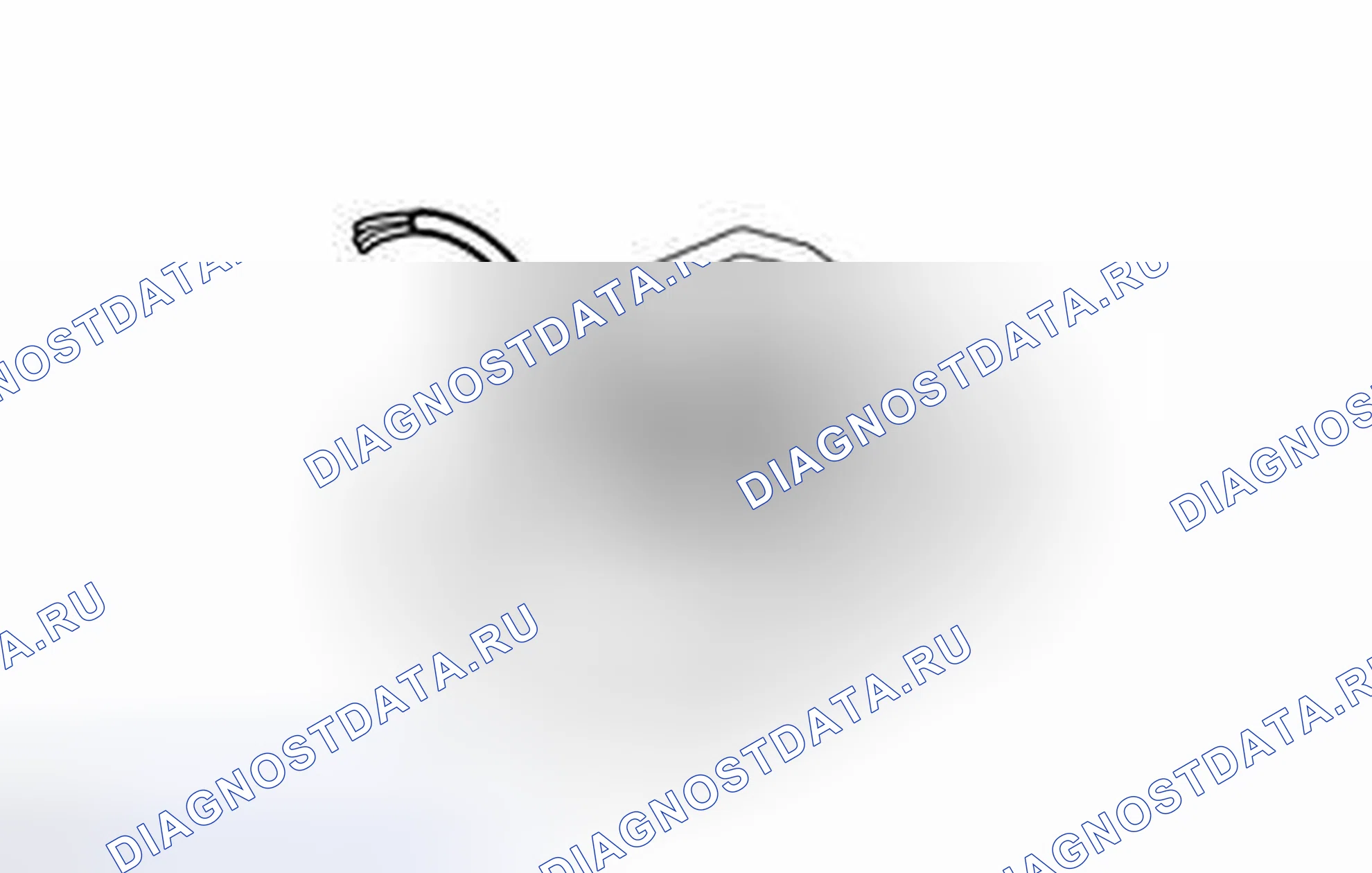 Рис. 284. Toyota Camry XV50