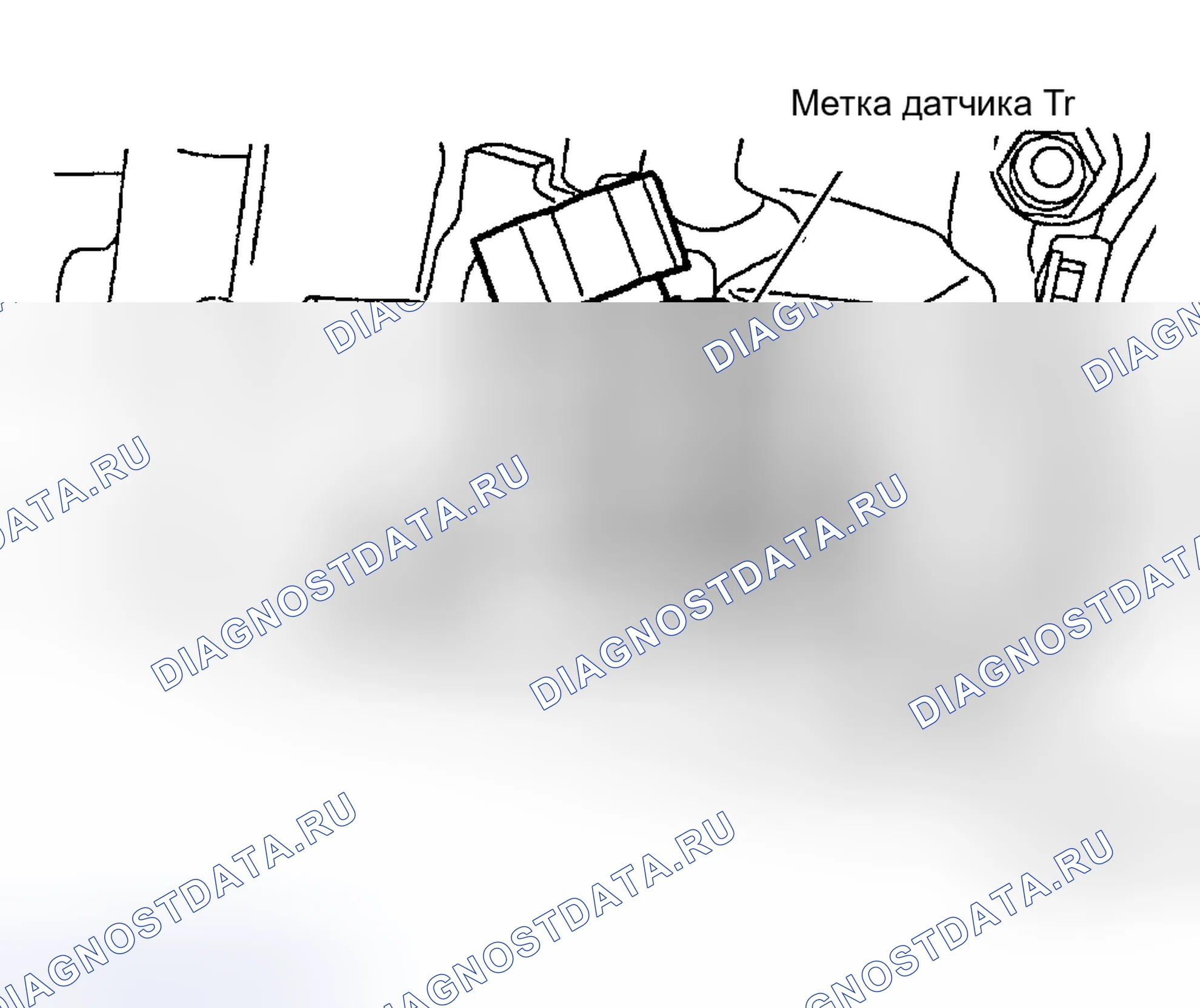 Рис. 8. Ford Focus I рестайлинг