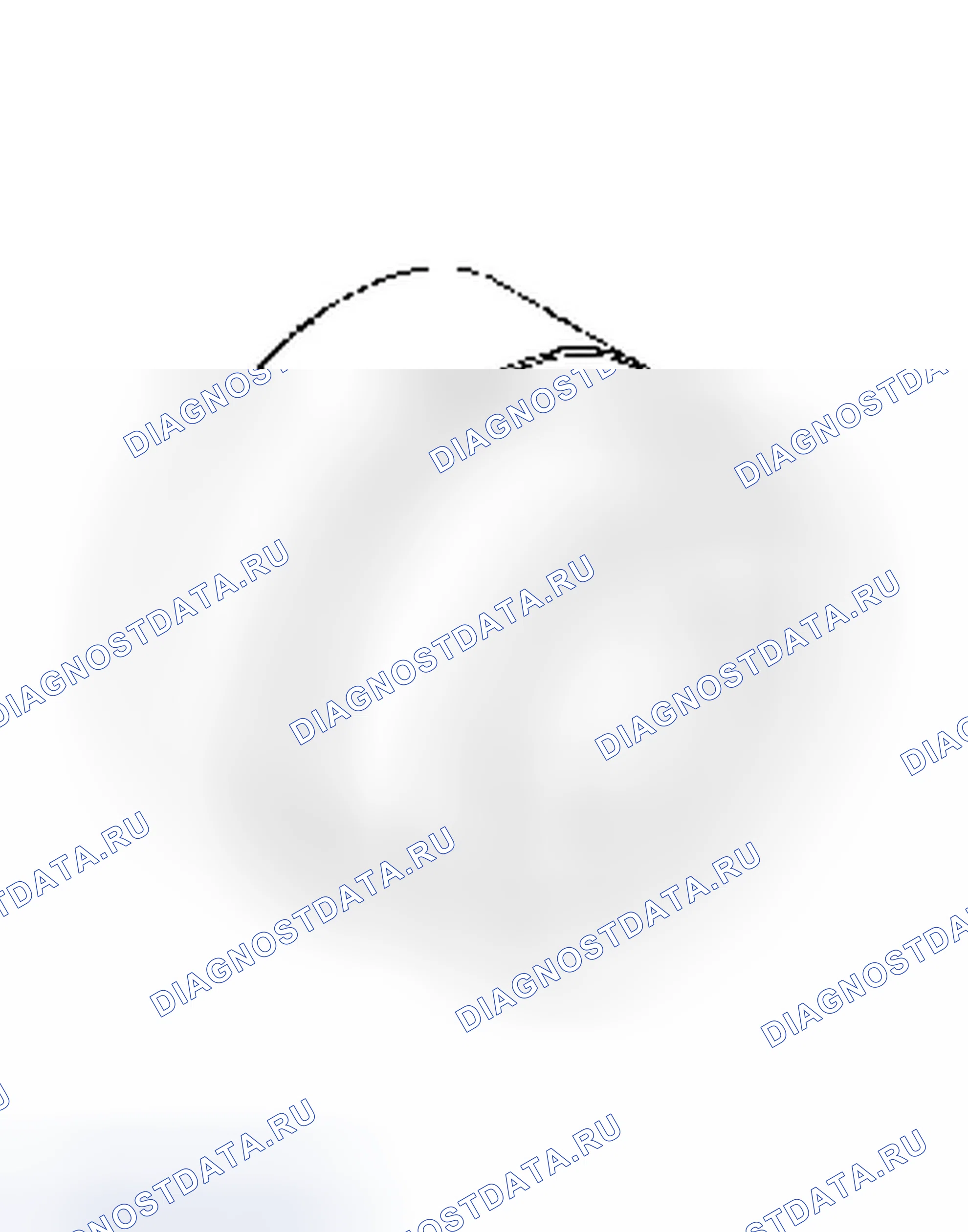 Рис. 3. Dodge Nitro I