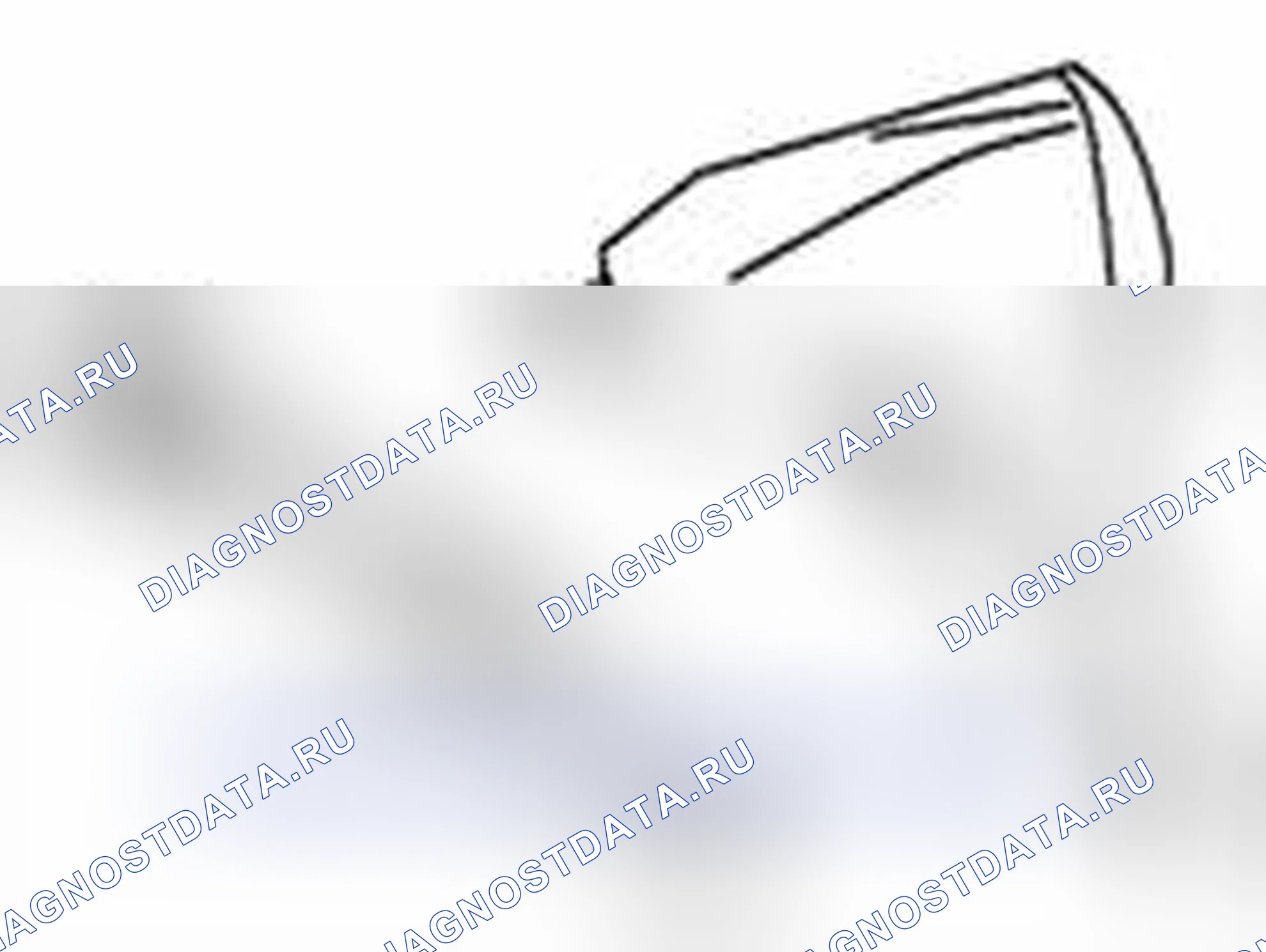 Рис. 209. Suzuki Equator I