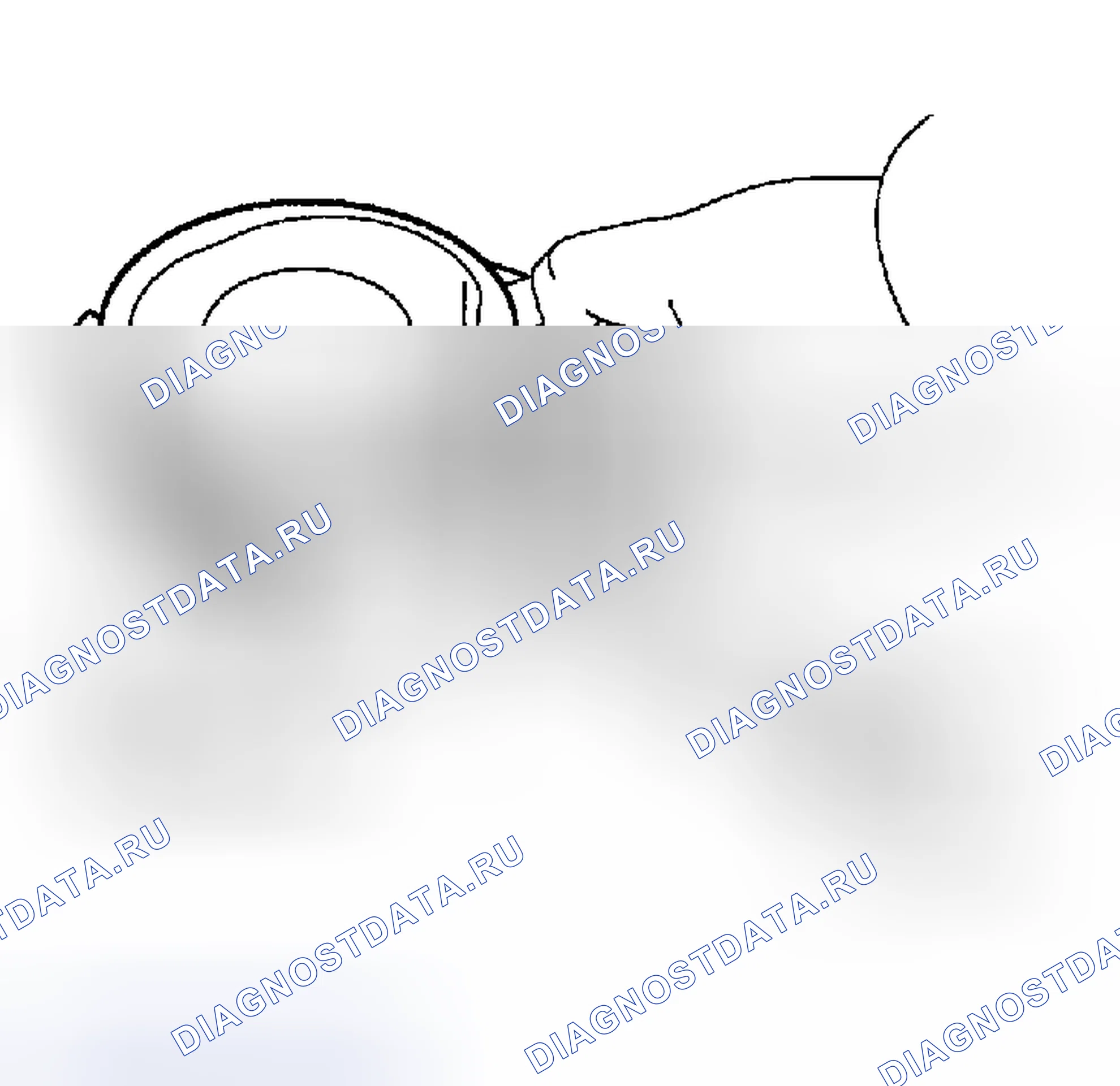 Рис. 252. Toyota MR2 W30