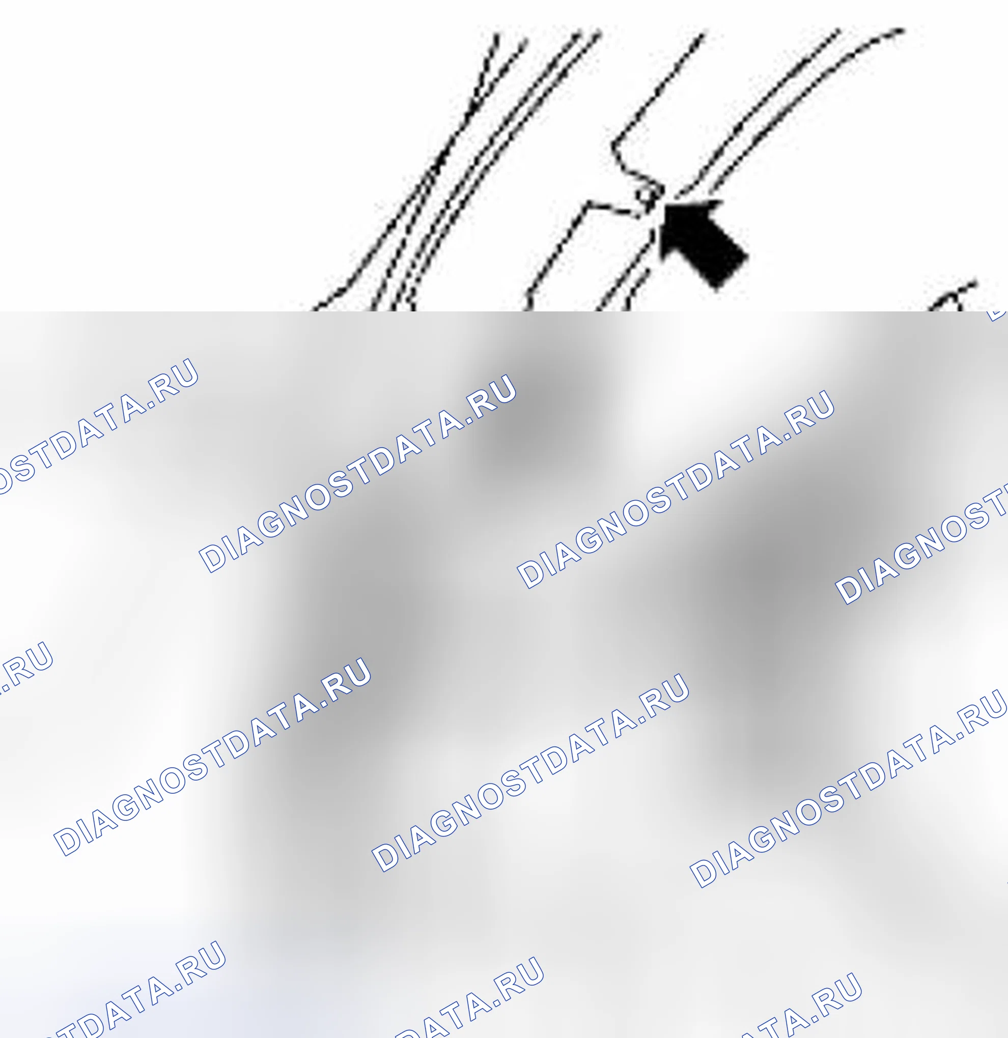 Рис. 27. Suzuki Equator I