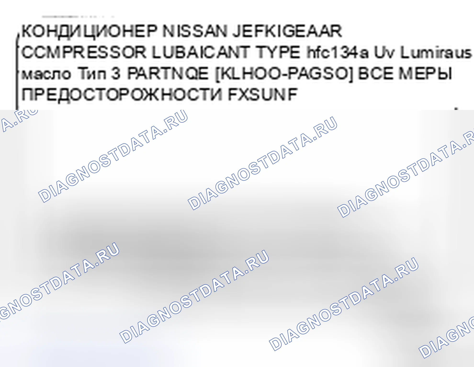 Рис. 1: ИДЕНТИФИКАЦИОННАЯ ЭТИКЕТКА ТРАНСПОРТНОГО СРЕДСТВА. Nissan X-Trail I