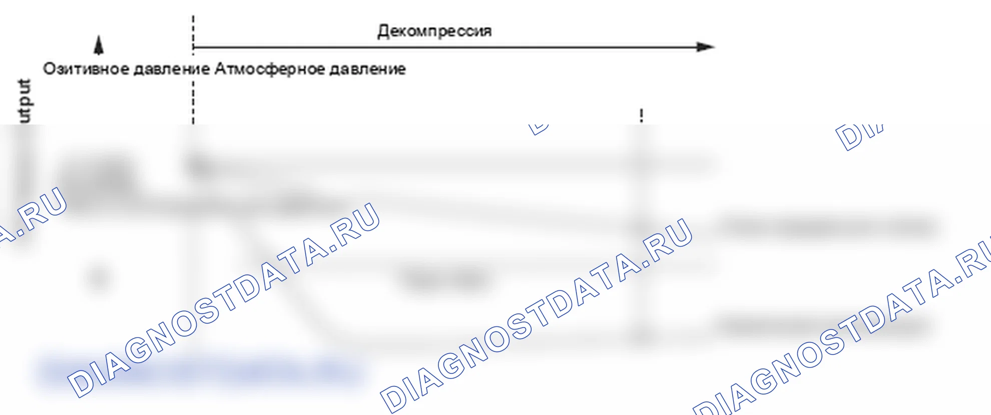 Рис. 173: Система испарительных выбросов (EVAP). Низкий расход продувки - график. Honda Ridgeline I